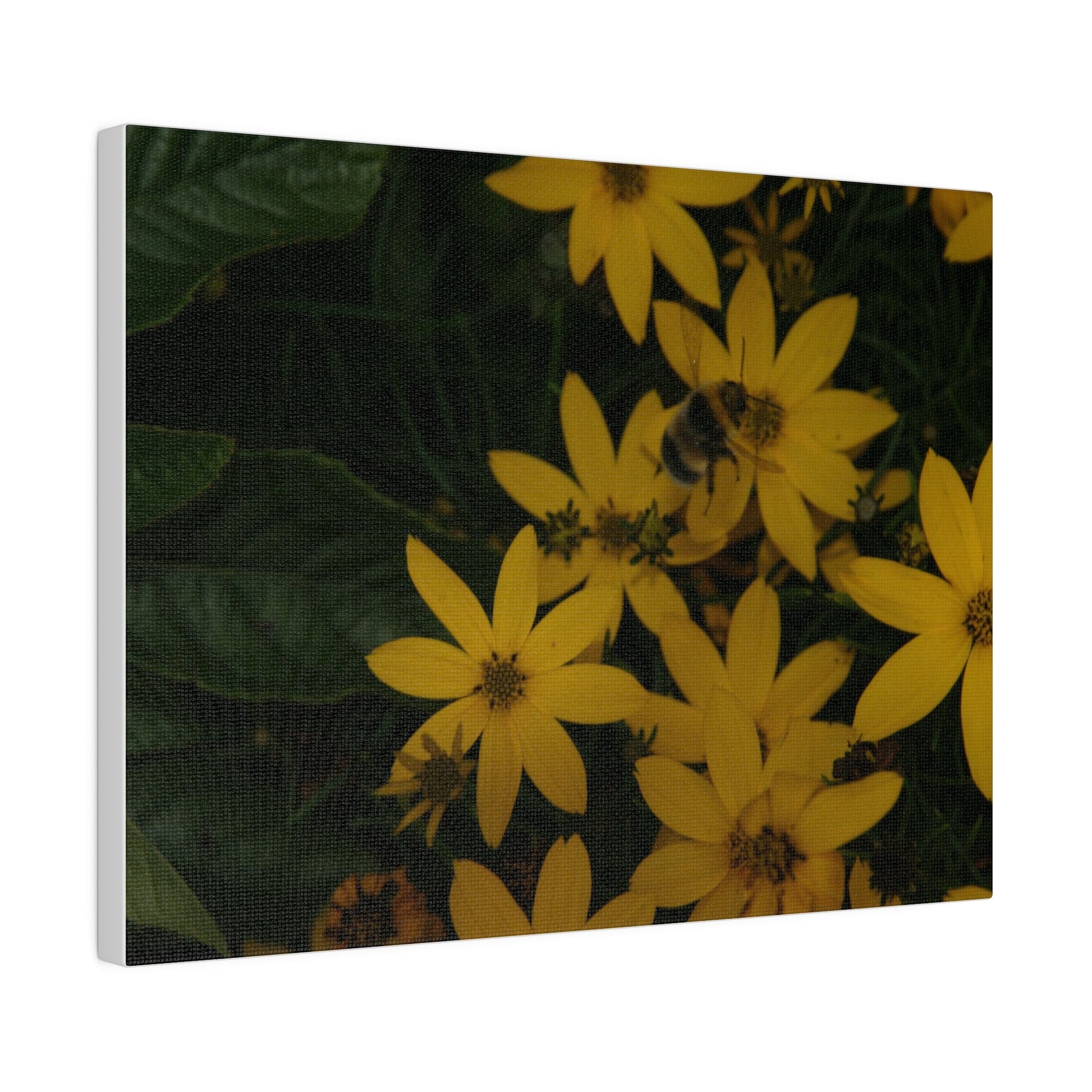 Bumblebee on Flower, Matte Canvas, Stretched, 0.75" - The Trio Synergize Group