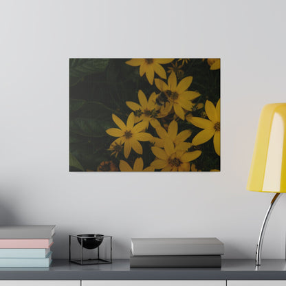 Bumblebee on Flower, Matte Canvas, Stretched, 0.75" - The Trio Synergize Group