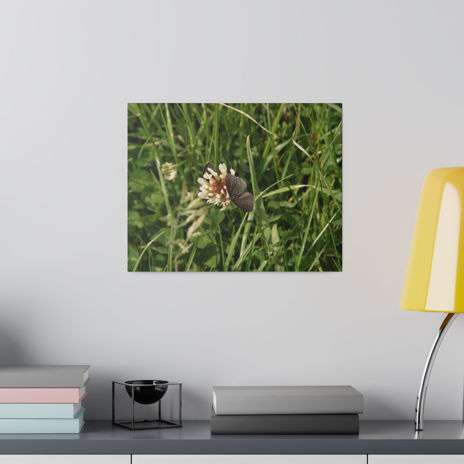 Chimney Sweeper Butterfly, On Flower, Matte Canvas, Stretched, 0.75" - The Trio Synergize Group