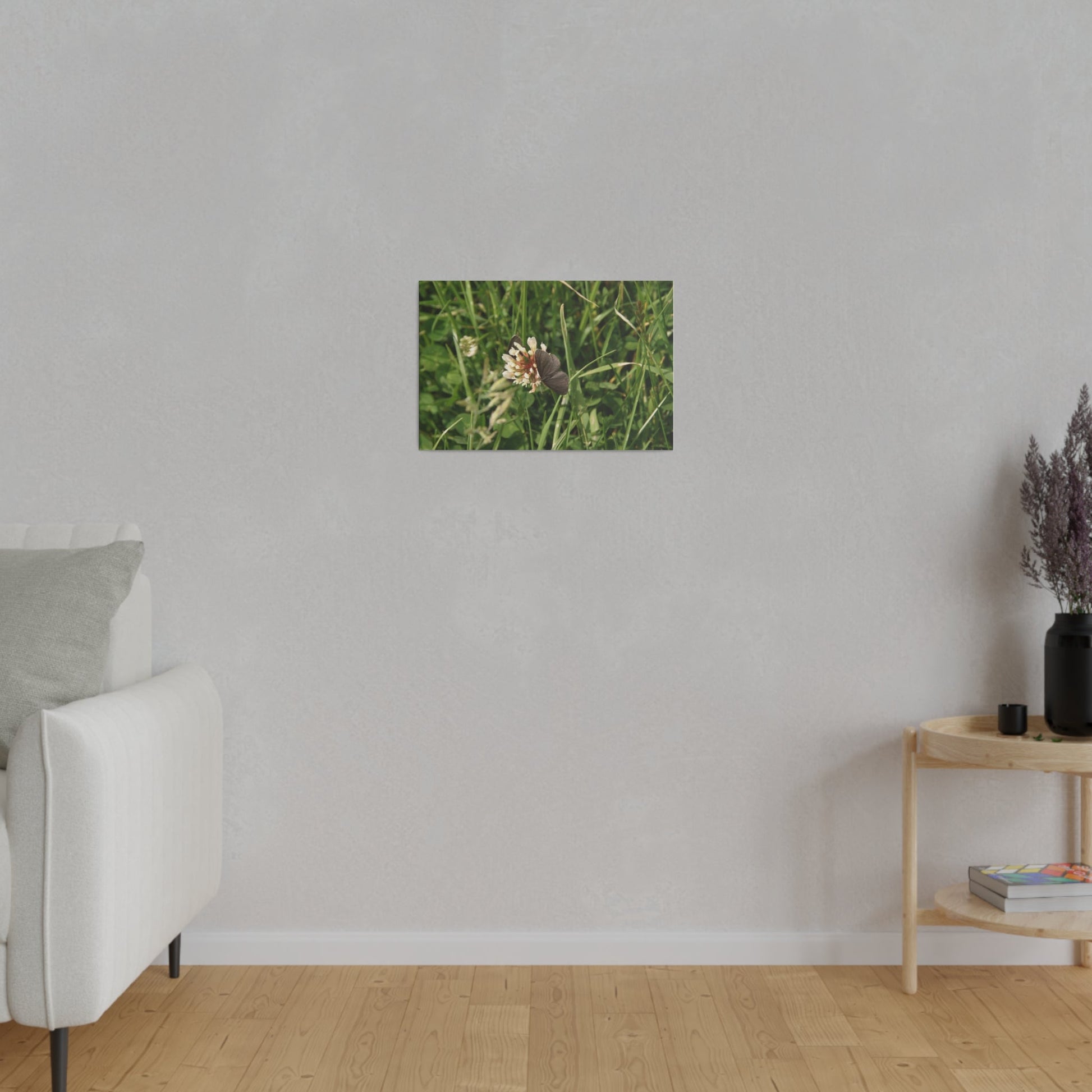 Chimney Sweeper Butterfly, On Flower, Matte Canvas, Stretched, 0.75" - The Trio Synergize Group