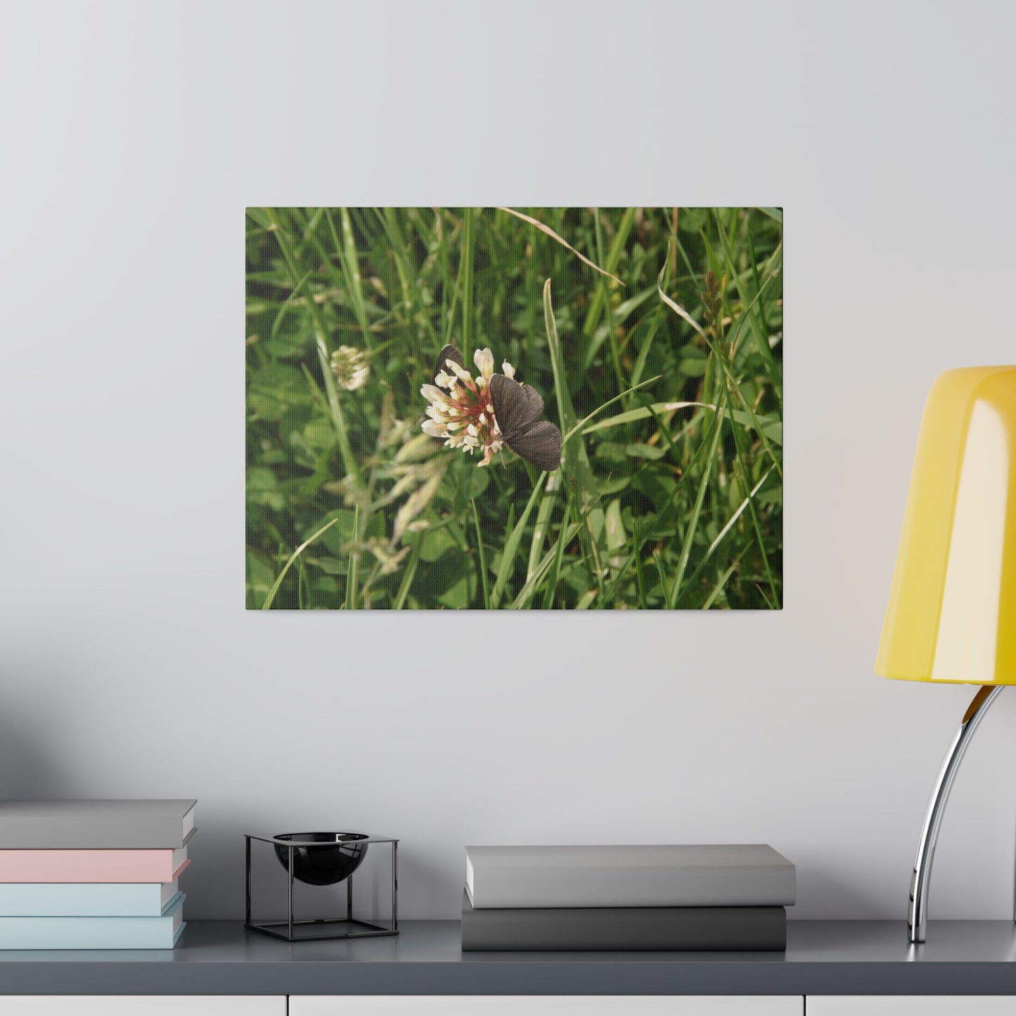 Chimney Sweeper Butterfly, On Flower, Matte Canvas, Stretched, 0.75" - The Trio Synergize Group