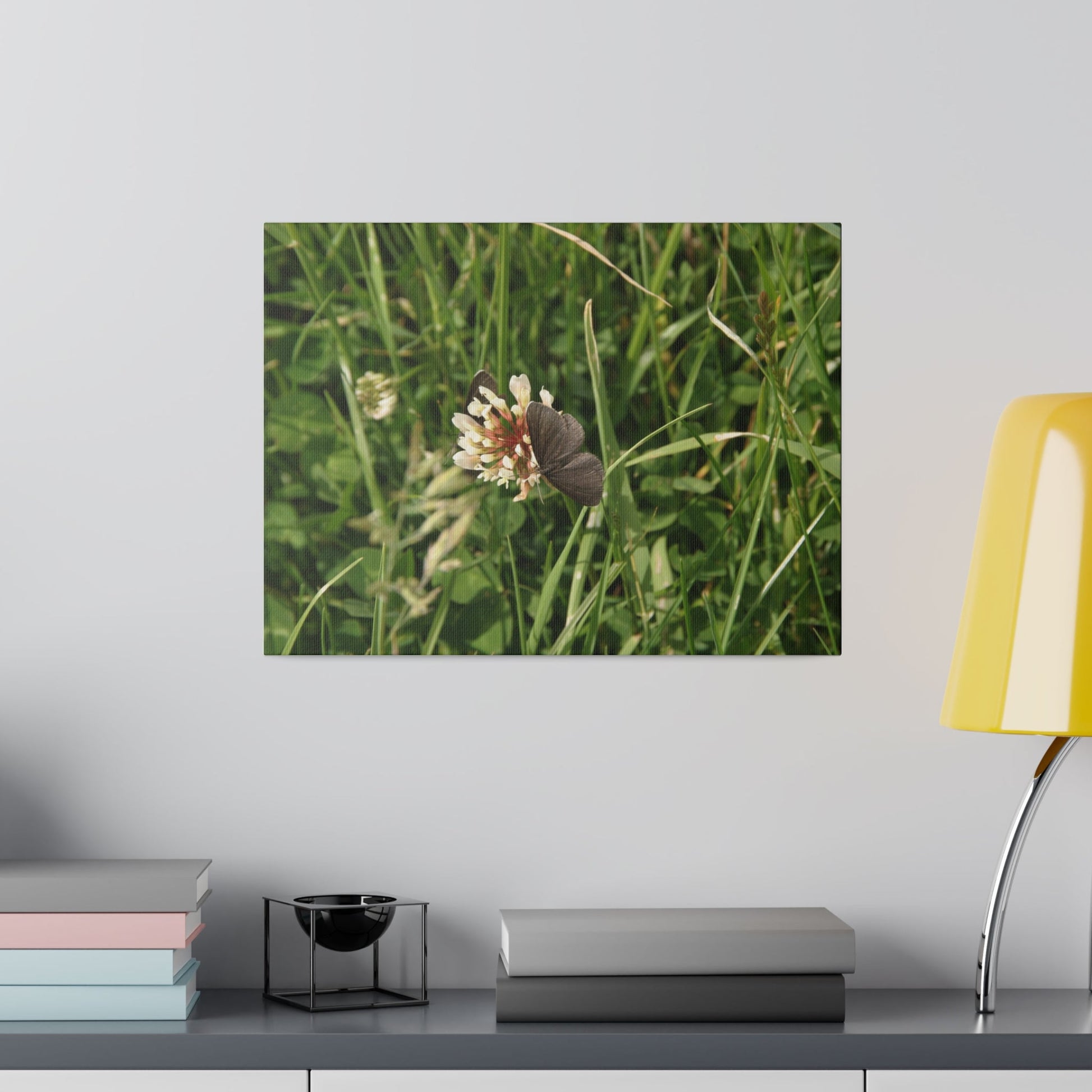 Chimney Sweeper Butterfly, On Flower, Matte Canvas, Stretched, 0.75" - The Trio Synergize Group