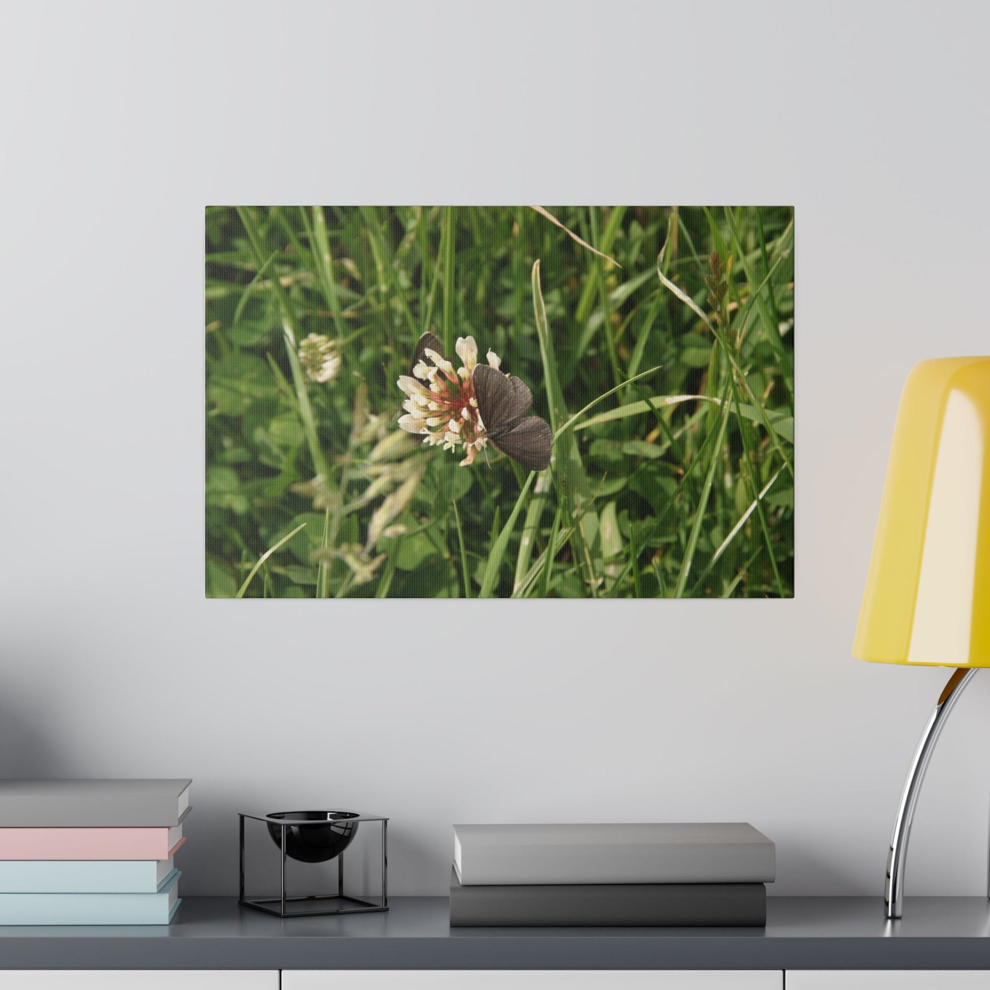 Chimney Sweeper Butterfly, On Flower, Matte Canvas, Stretched, 0.75" - The Trio Synergize Group