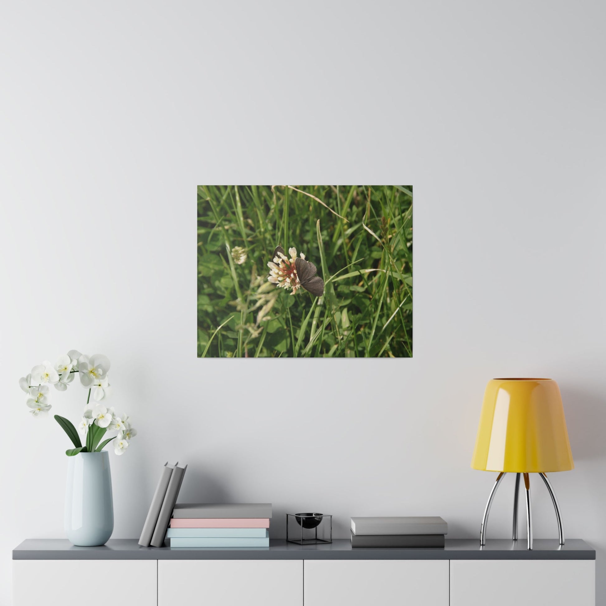 Chimney Sweeper Butterfly, On Flower, Matte Canvas, Stretched, 0.75" - The Trio Synergize Group