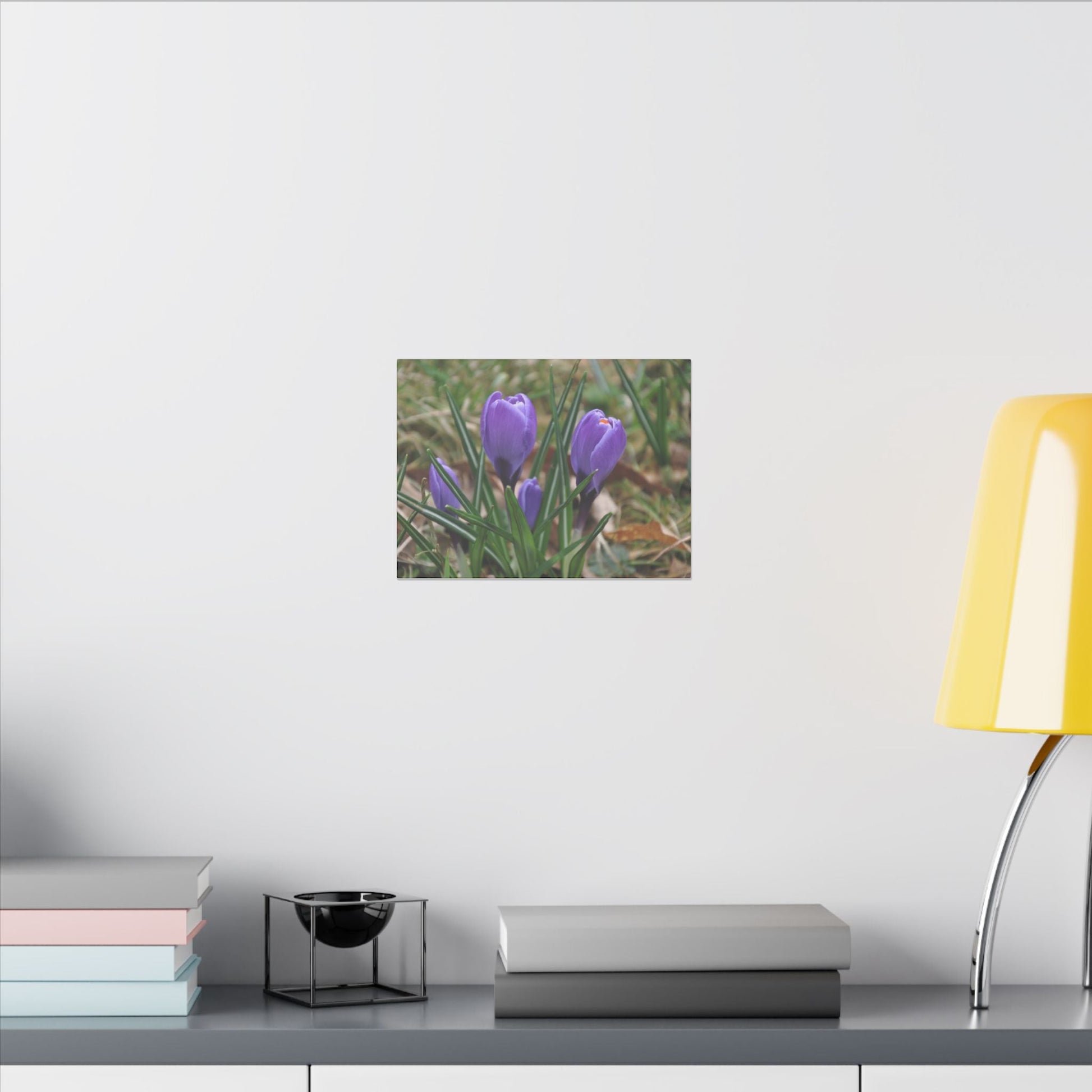 Cluster Of Purple Crocuses Close Up Canvas - The Trio Synergize Group