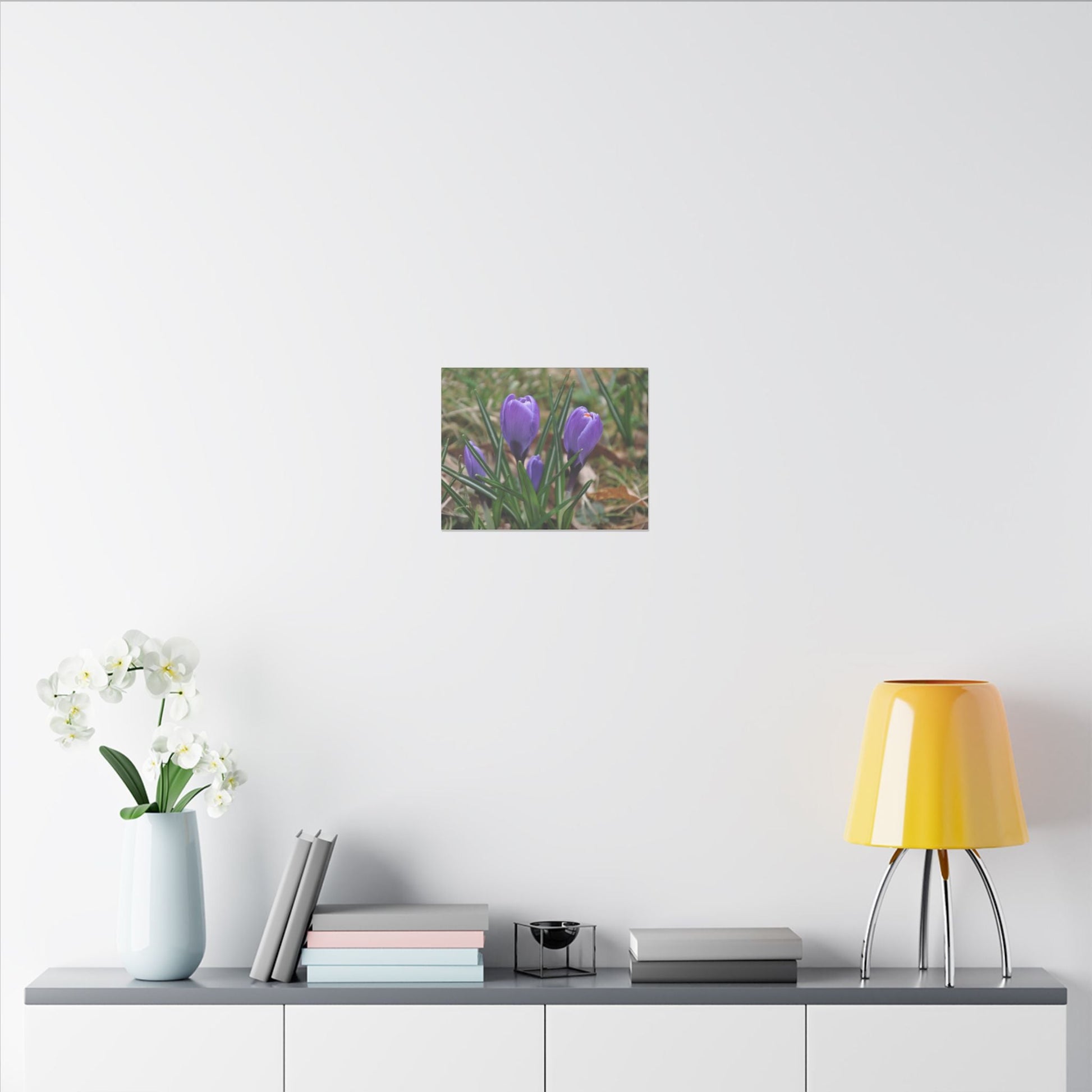 Cluster Of Purple Crocuses Close Up Canvas - The Trio Synergize Group