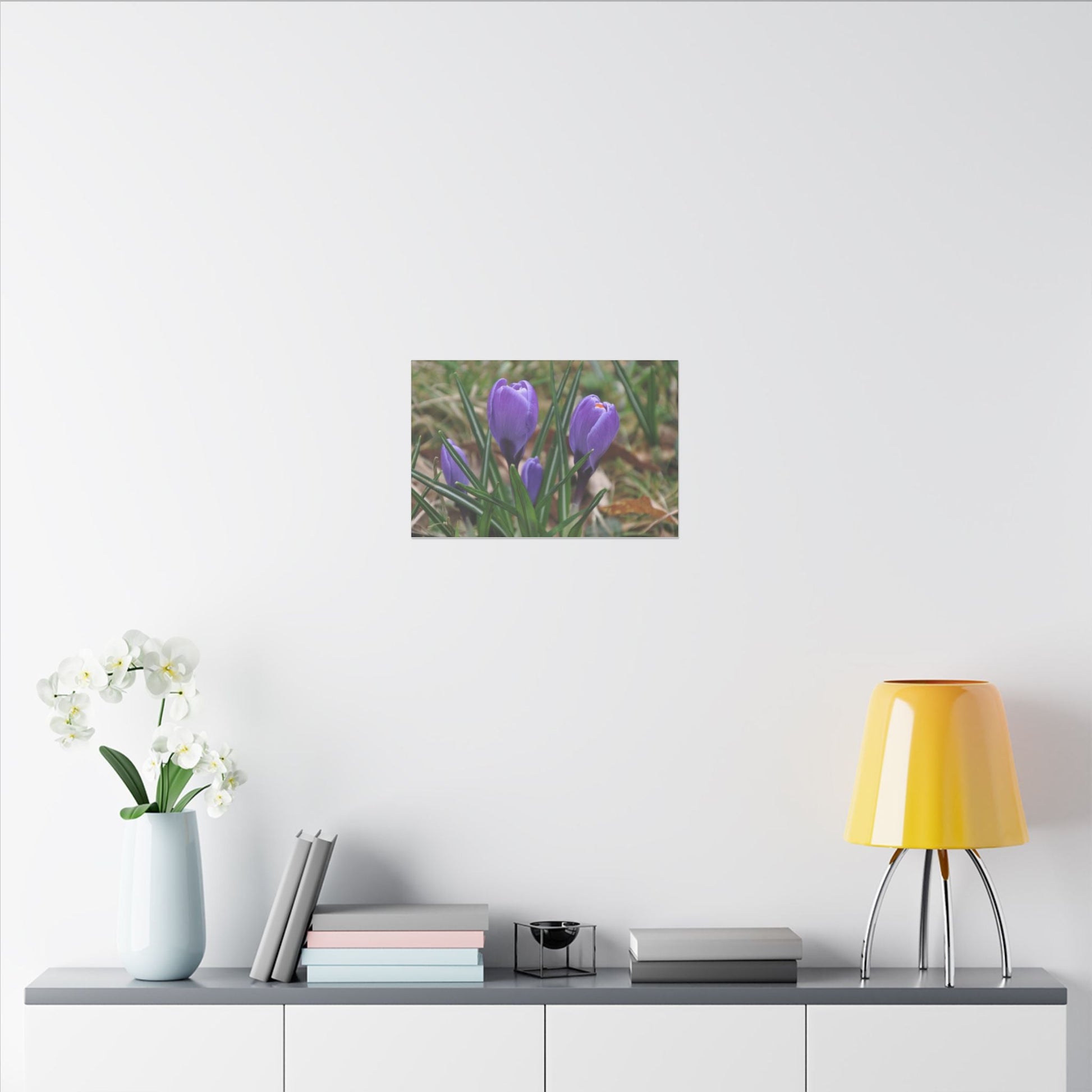 Cluster Of Purple Crocuses Close Up Canvas - The Trio Synergize Group
