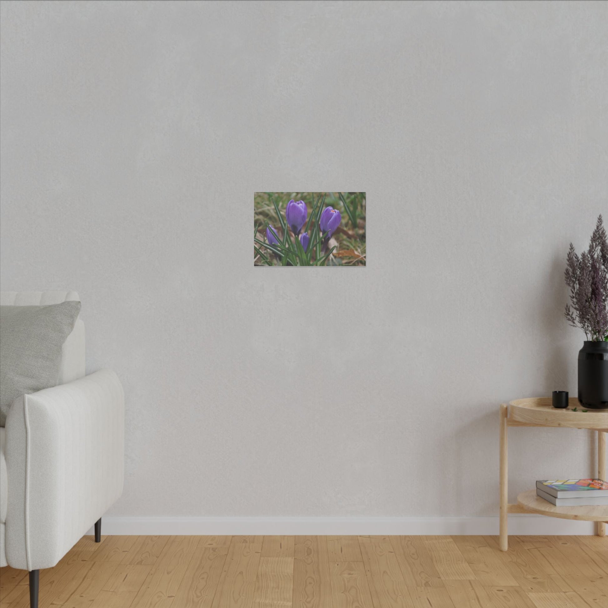 Cluster Of Purple Crocuses Close Up Canvas - The Trio Synergize Group