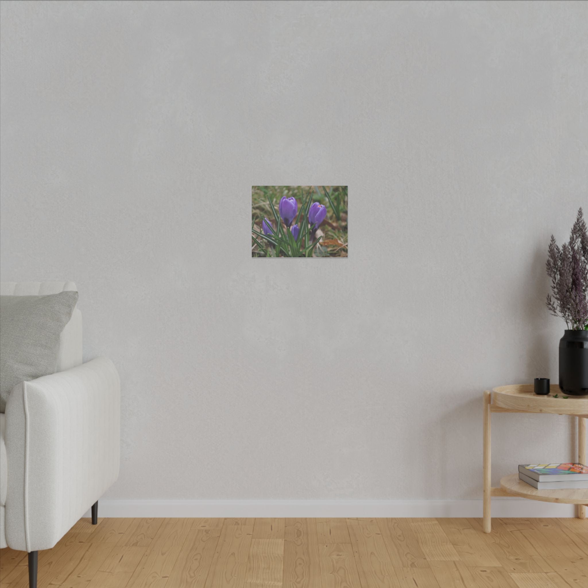 Cluster Of Purple Crocuses Close Up Canvas - The Trio Synergize Group