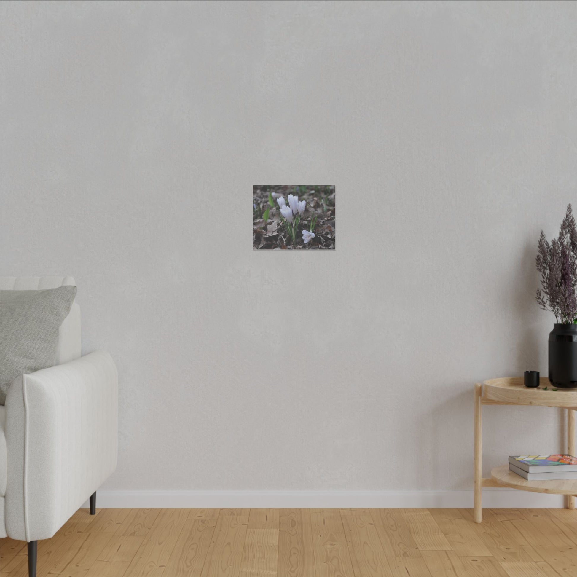 Cluster Of White Crocuses, Side Ground Level Canvas - The Trio Synergize Group