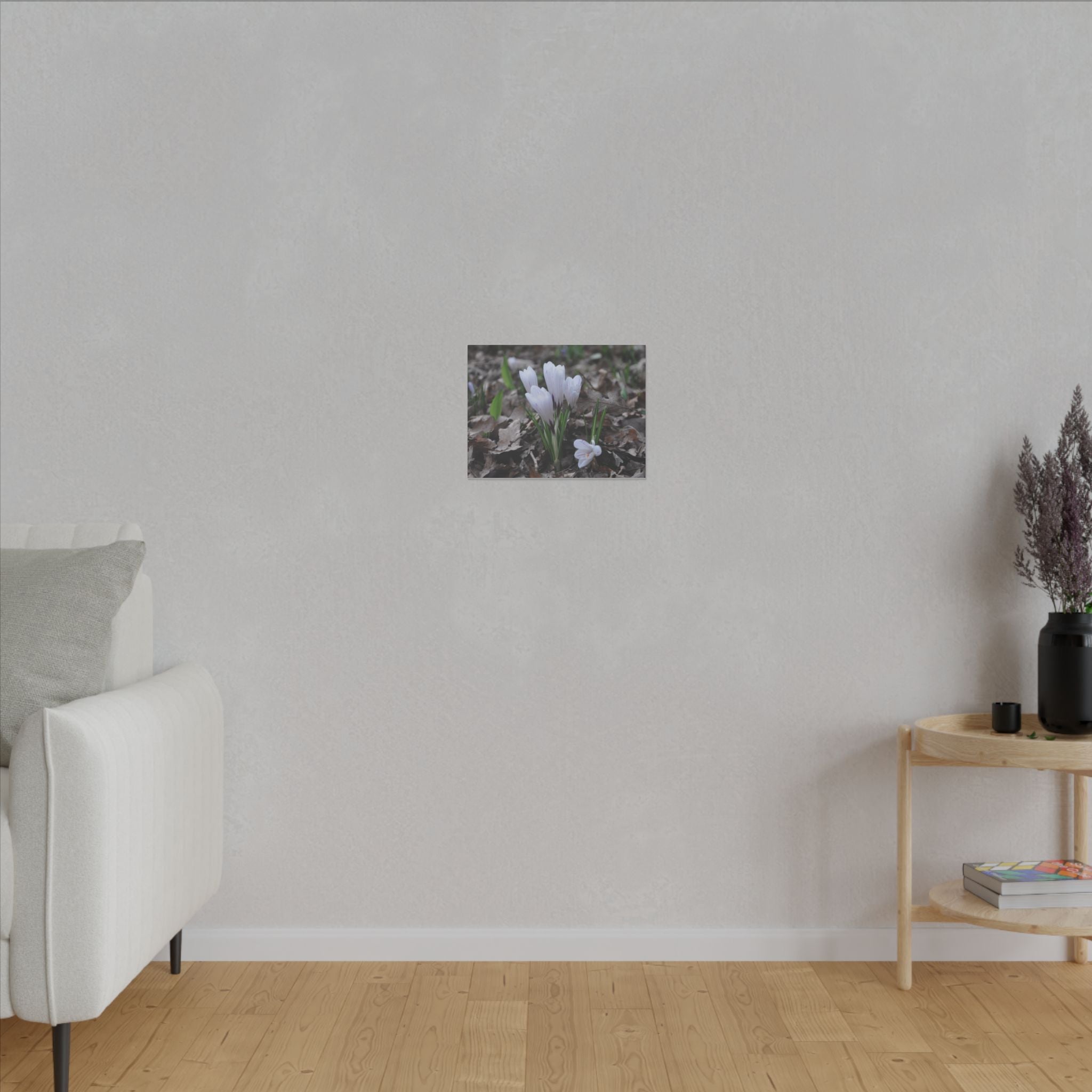 Cluster Of White Crocuses, Side Ground Level Canvas - The Trio Synergize Group
