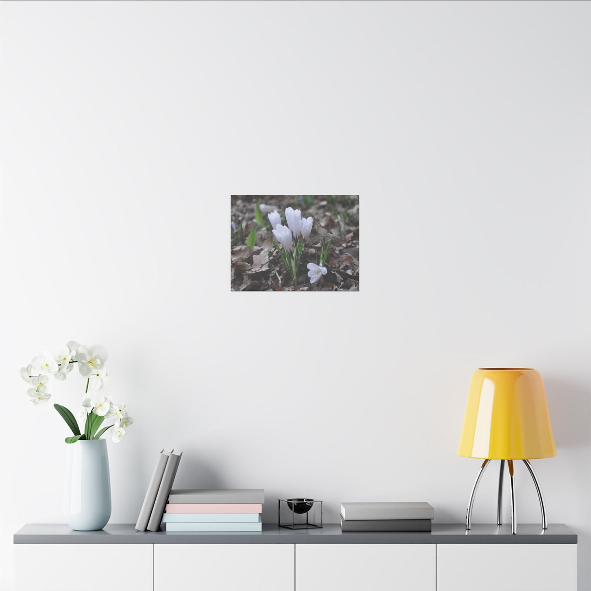 Cluster Of White Crocuses, Side Ground Level Canvas - The Trio Synergize Group