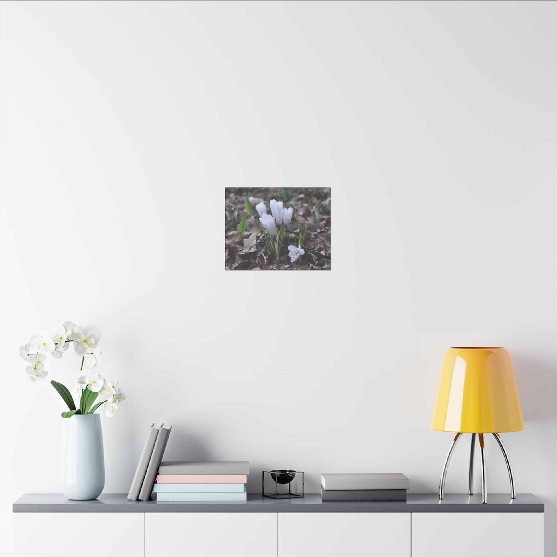 Cluster Of White Crocuses, Side Ground Level Canvas - The Trio Synergize Group