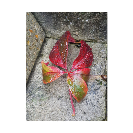 Rainbow Leaf Canvas - Whimsical Print - The Trio Synergize Group