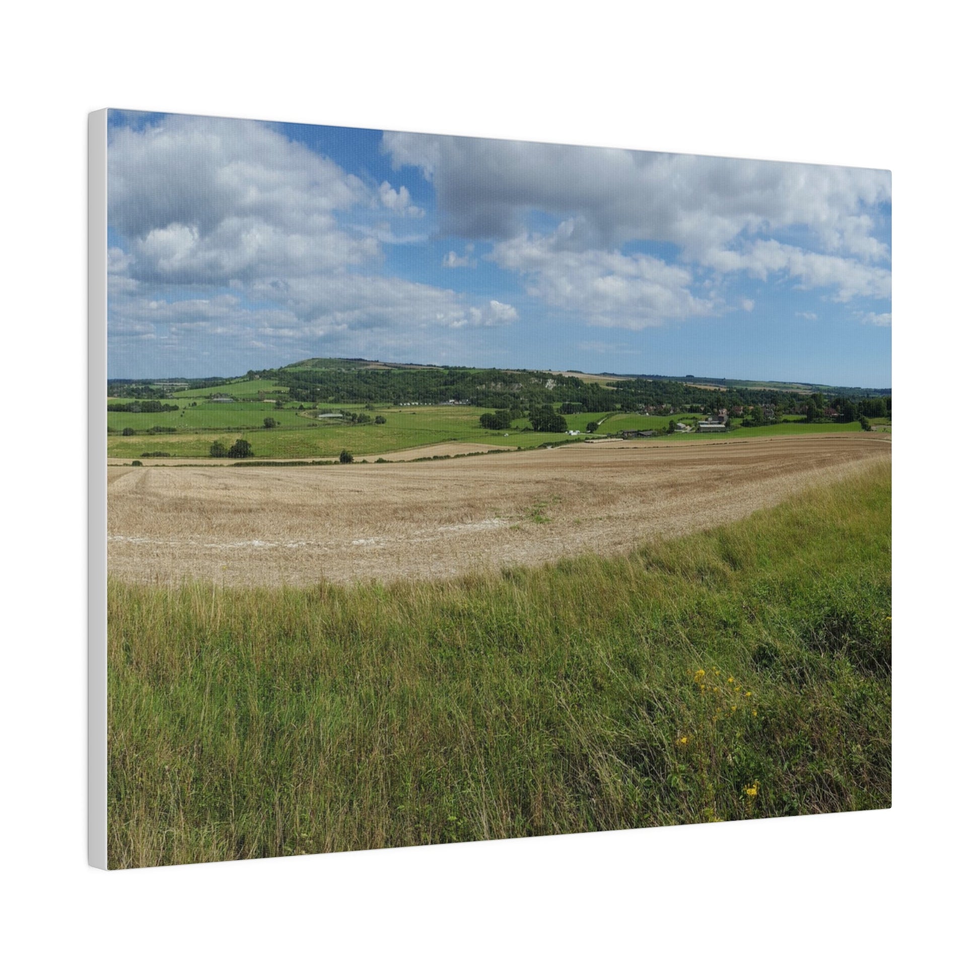 Countryside Fields Landscape, Matte Canvas, Stretched, 0.75" - The Trio Synergize Group