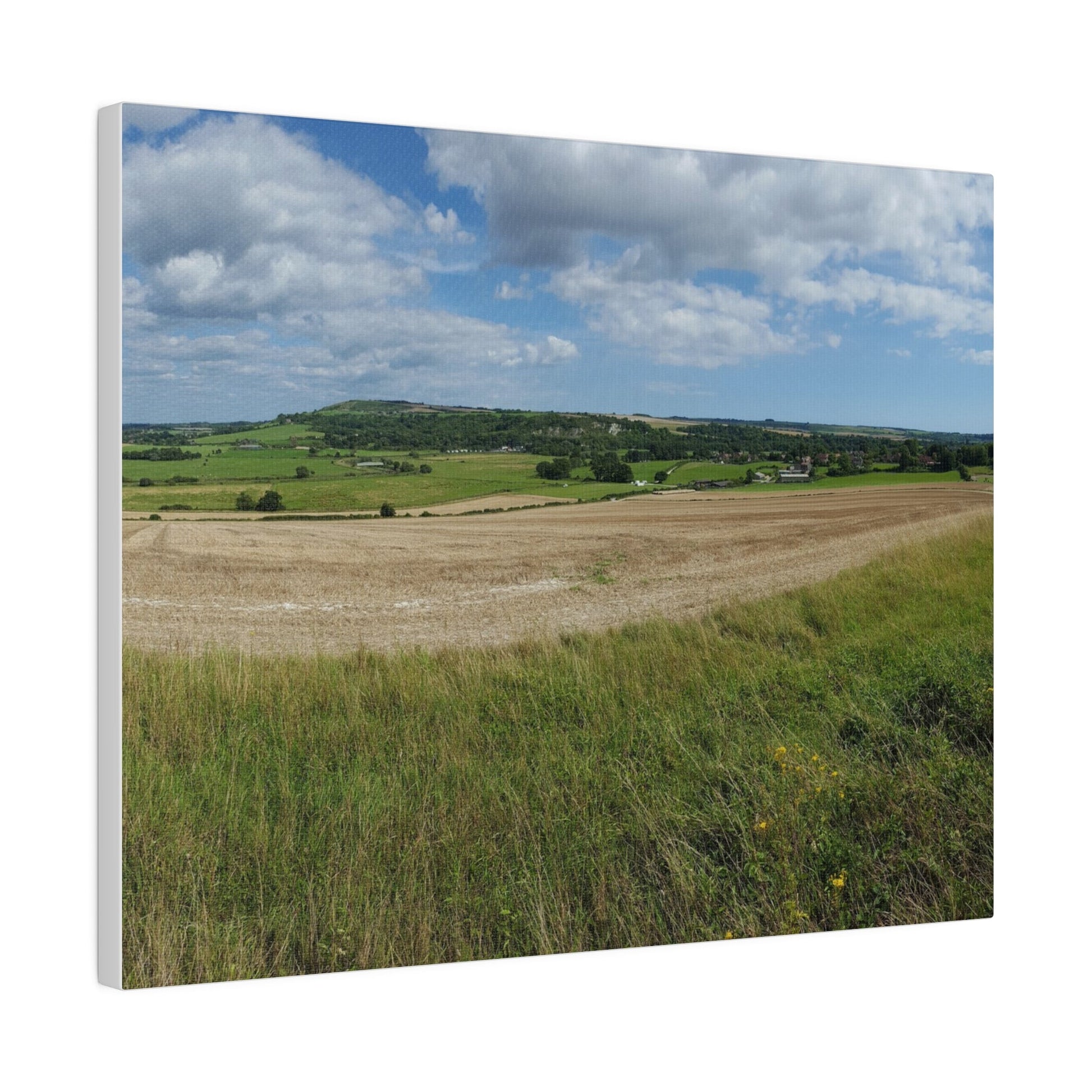Countryside Fields Landscape, Matte Canvas, Stretched, 0.75" - The Trio Synergize Group