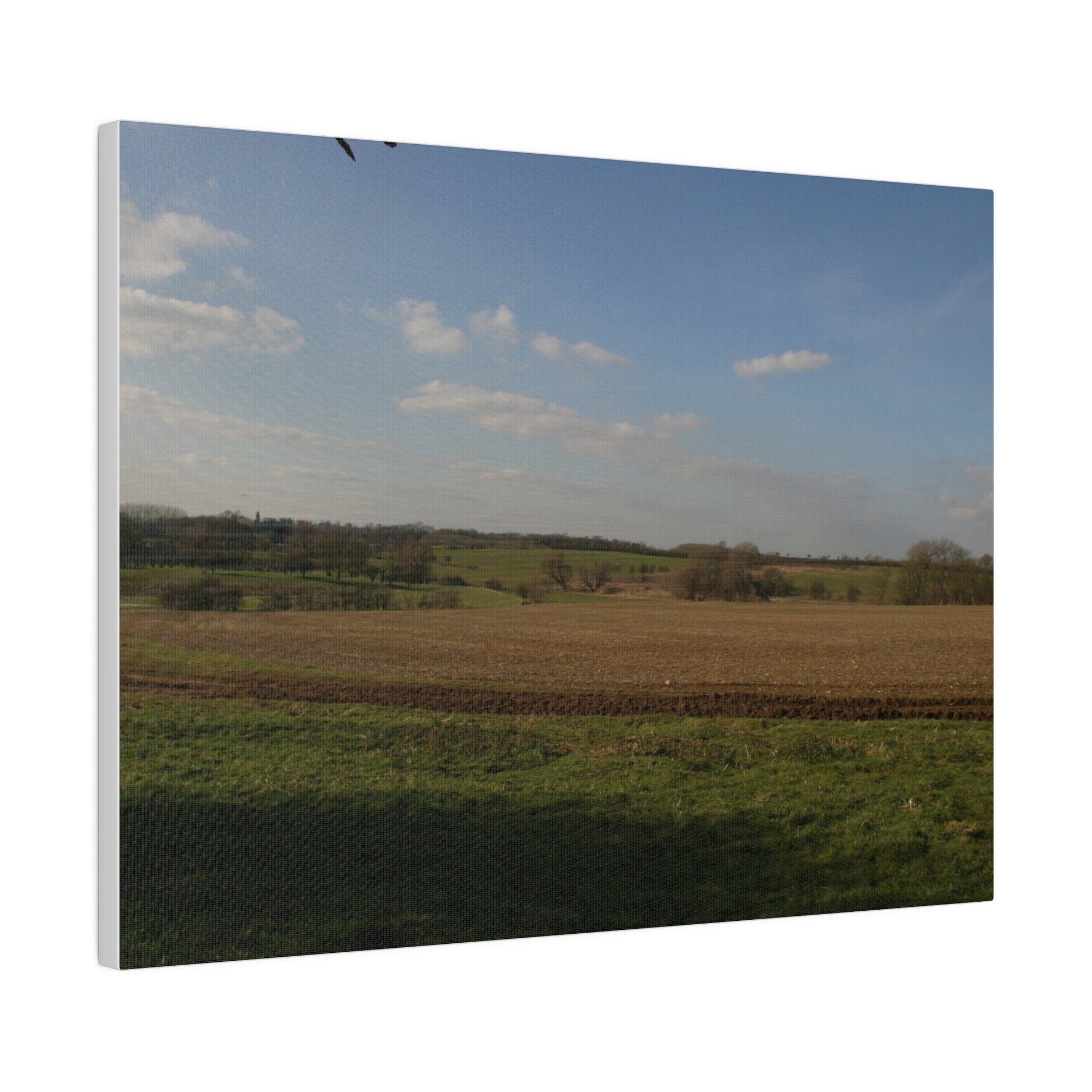 Countryside Landscape, Matte Canvas, Stretched, 0.75" - The Trio Synergize Group