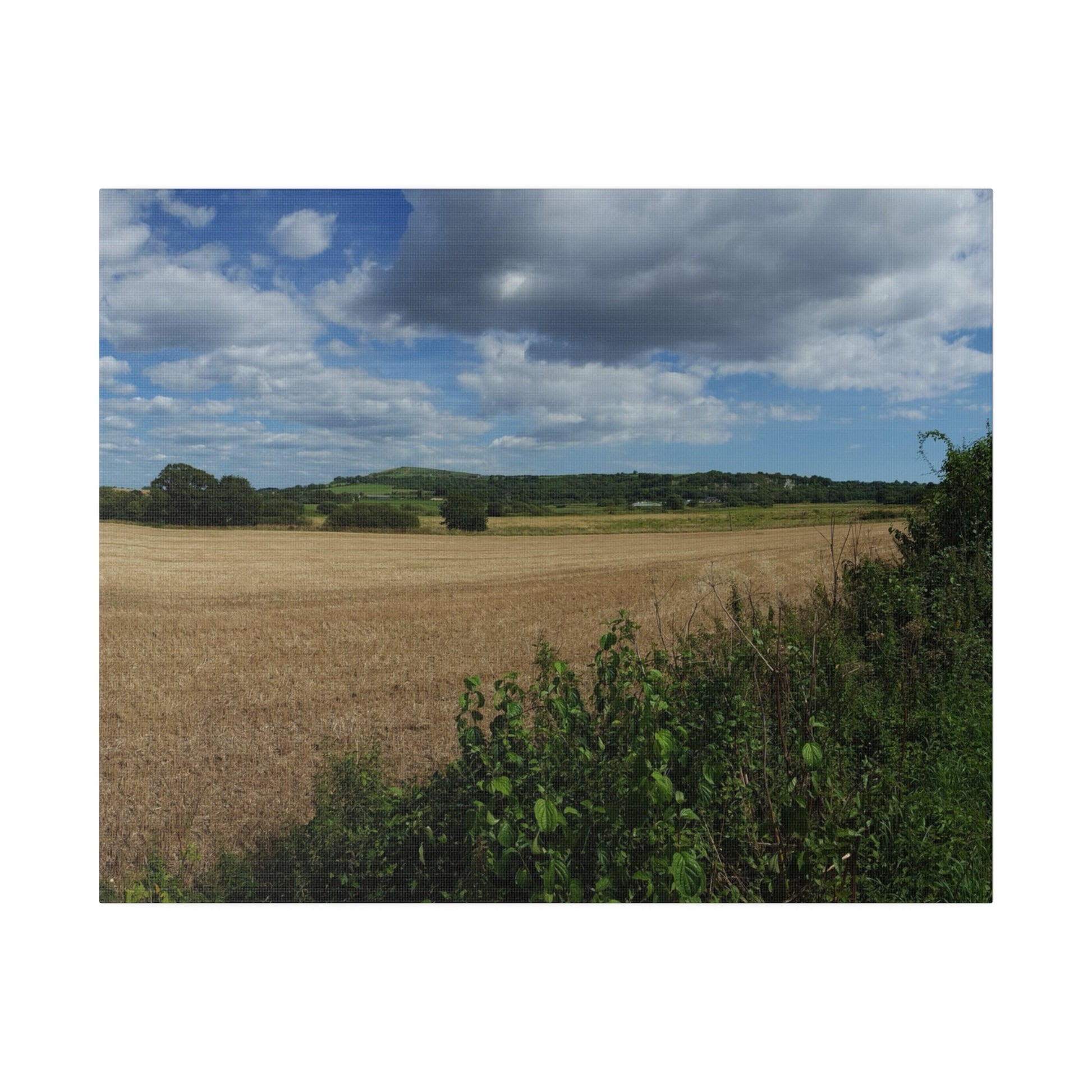 Countryside Landscape With Farm Land & Fluffy Clouds Canvas - The Trio Synergize Group