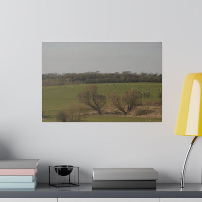 Countryside Landscape, with Sheep, Matte Canvas, Stretched, 0.75" - The Trio Synergize Group