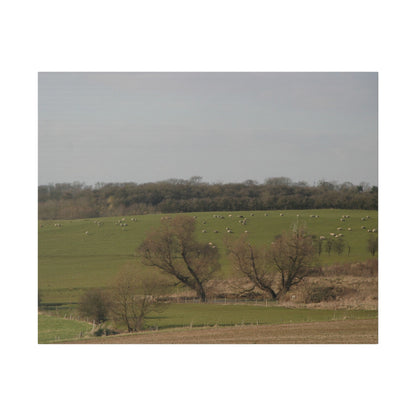 Countryside Landscape, with Sheep, Matte Canvas, Stretched, 0.75" - The Trio Synergize Group