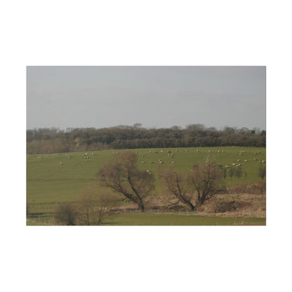 Countryside Landscape, with Sheep, Matte Canvas, Stretched, 0.75" - The Trio Synergize Group