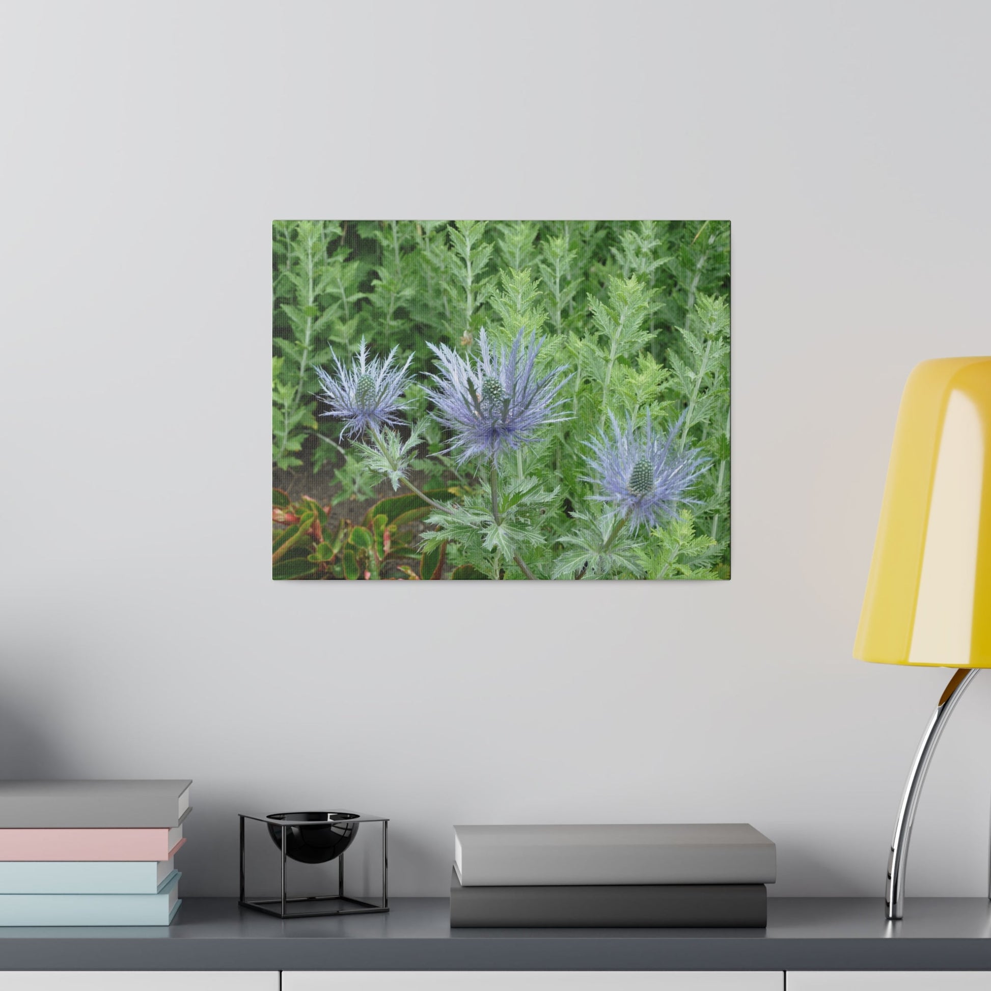 Eryngium Alpinum, Matte Canvas, Stretched, 0.75" - The Trio Synergize Group