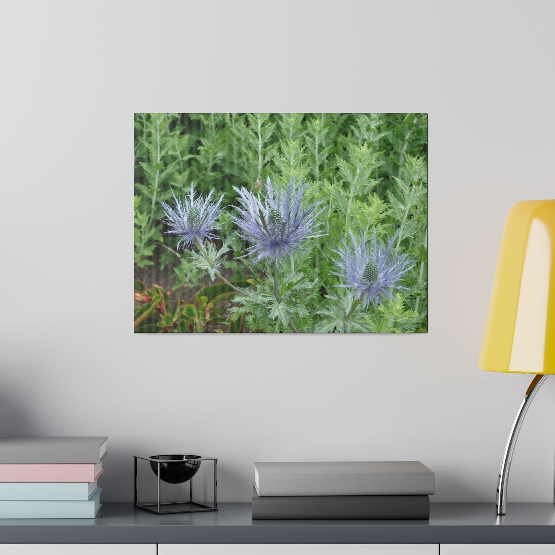 Eryngium Alpinum, Matte Canvas, Stretched, 0.75" - The Trio Synergize Group