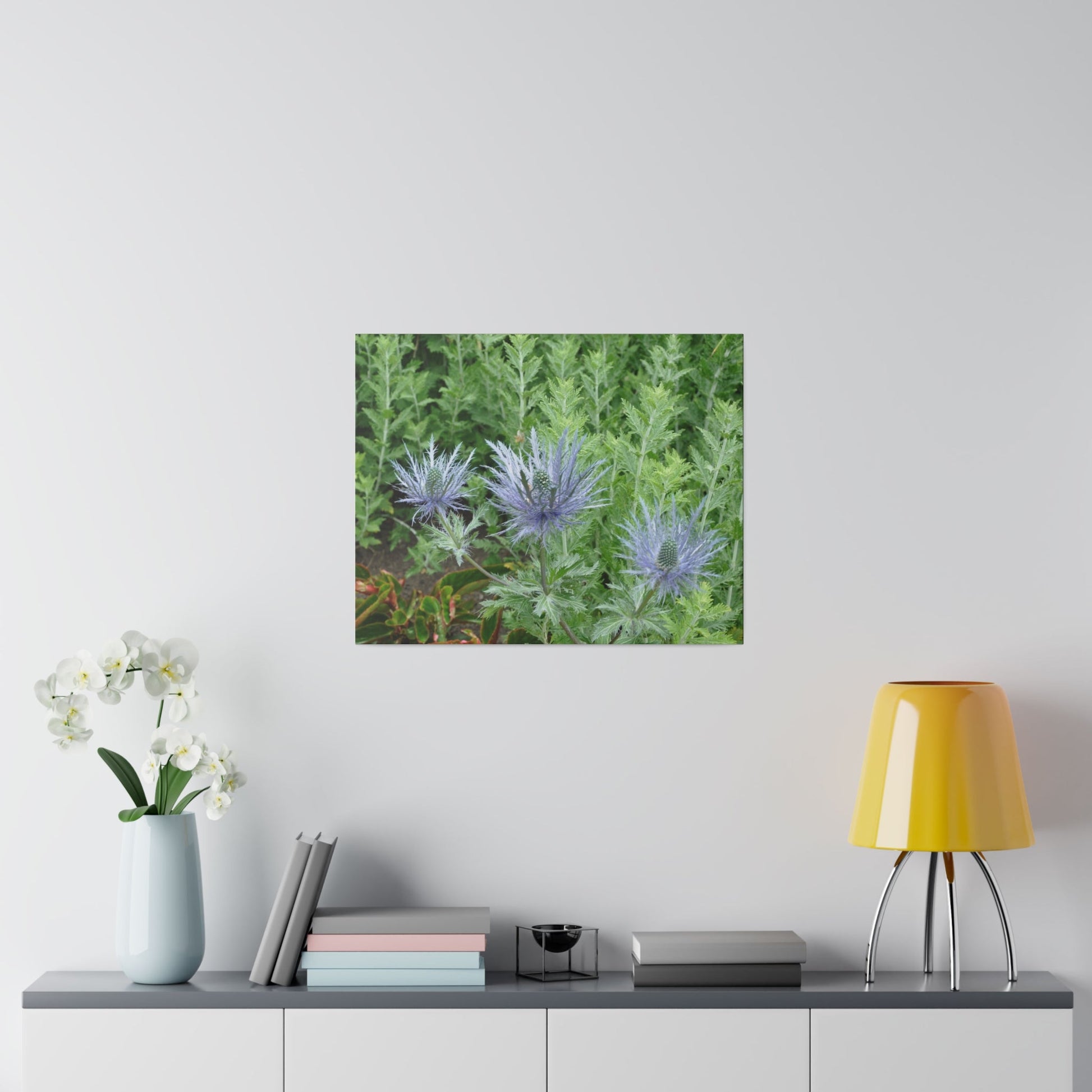 Eryngium Alpinum, Matte Canvas, Stretched, 0.75" - The Trio Synergize Group