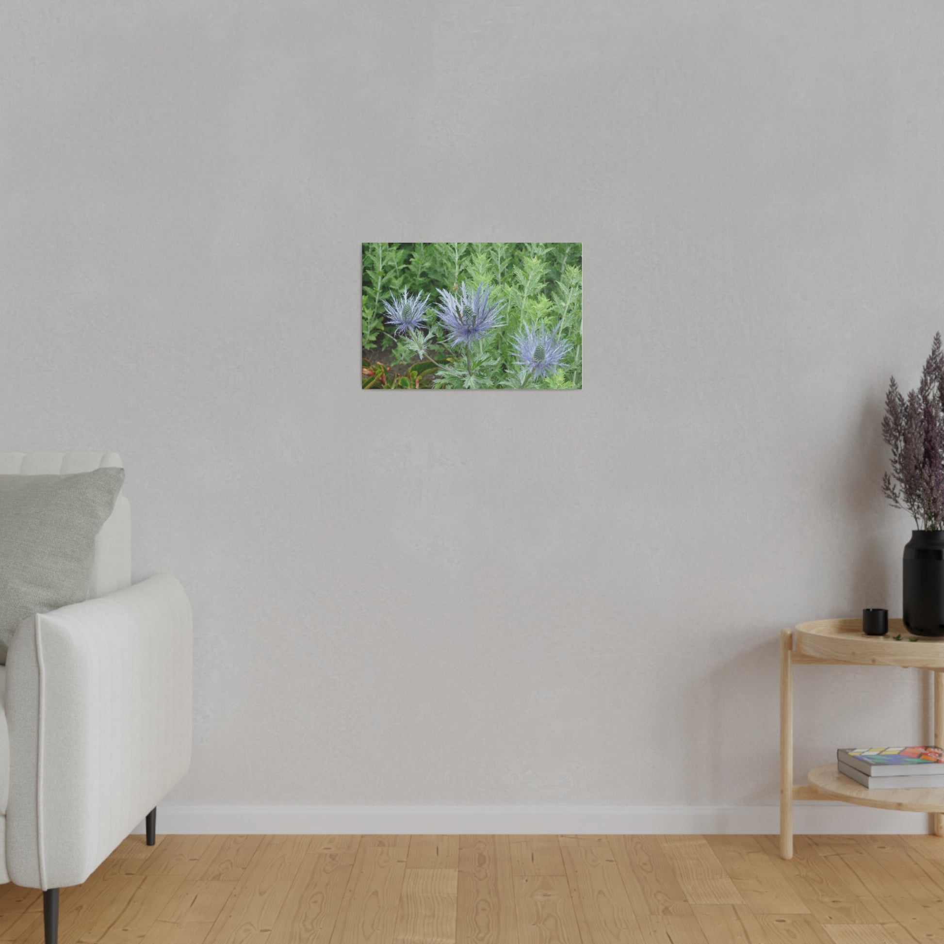 Eryngium Alpinum, Matte Canvas, Stretched, 0.75" - The Trio Synergize Group