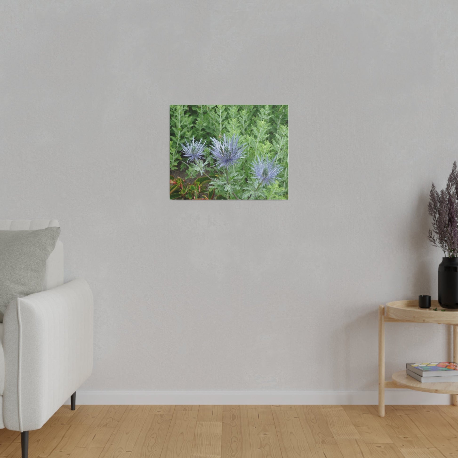 Eryngium Alpinum, Matte Canvas, Stretched, 0.75" - The Trio Synergize Group