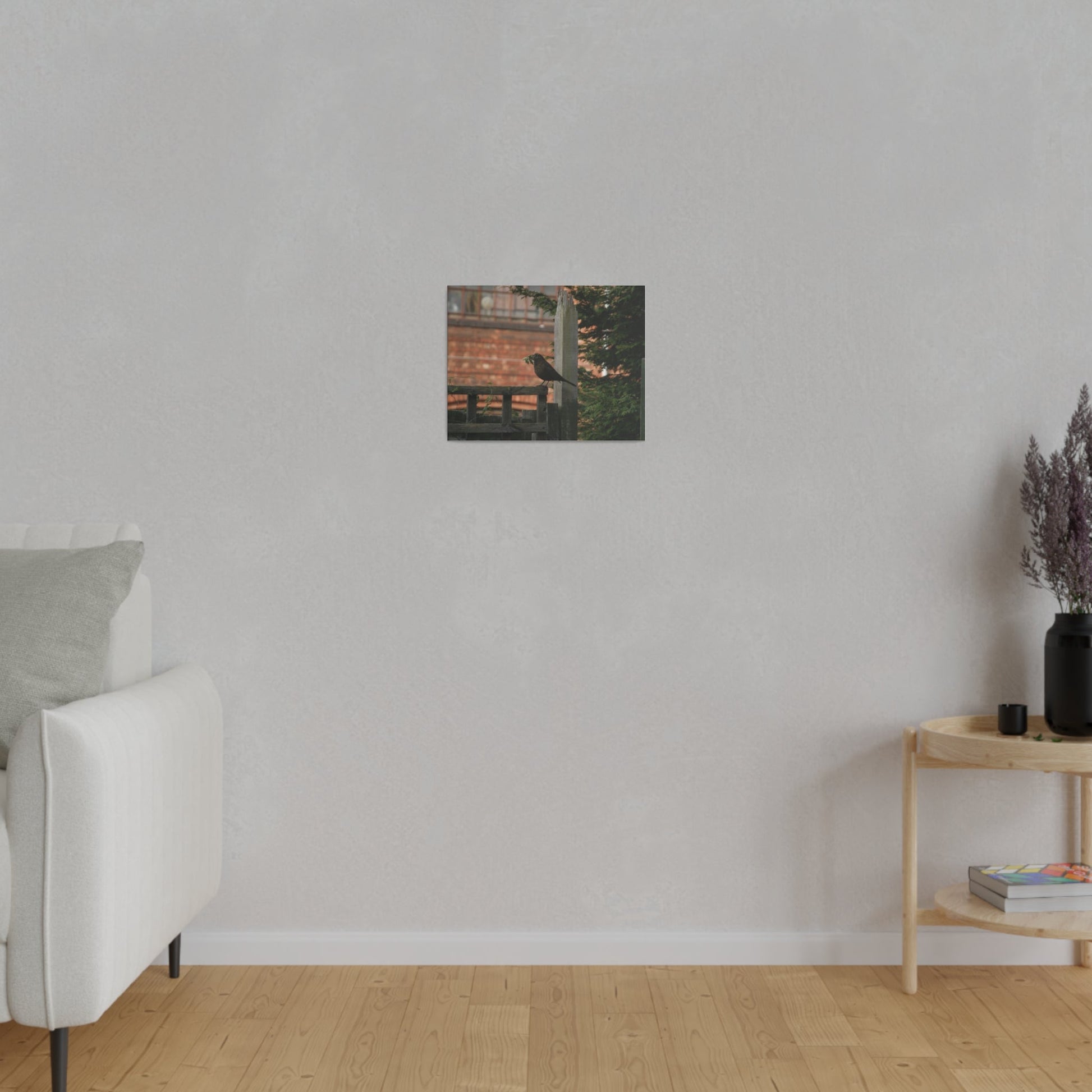 Female Blackbird Gathering Sticks For Nest, Matte Canvas, Stretched, 0.75" - The Trio Synergize Group
