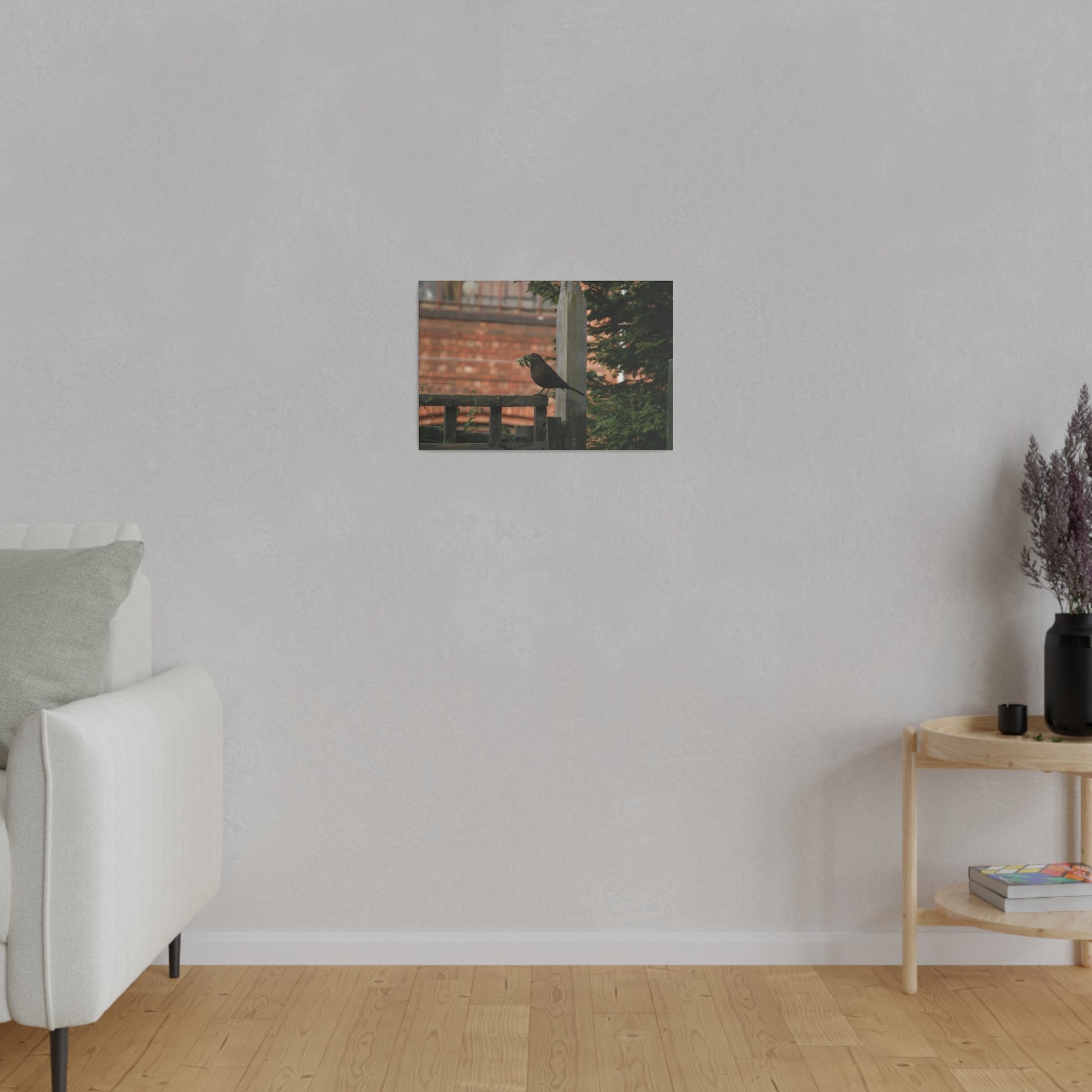 Female Blackbird Gathering Sticks For Nest, Matte Canvas, Stretched, 0.75" - The Trio Synergize Group