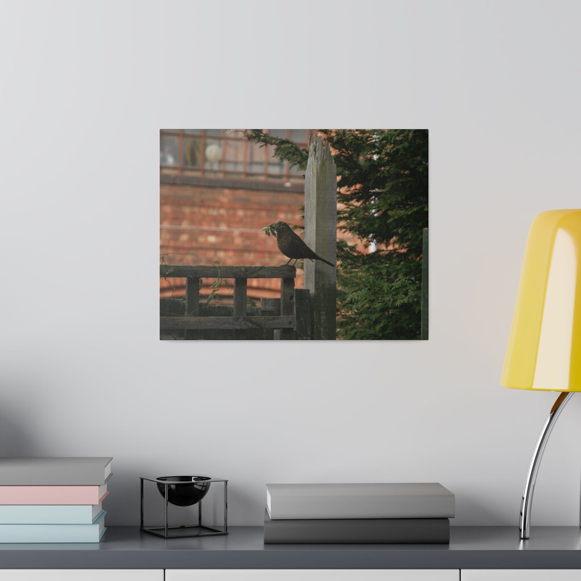 Female Blackbird Gathering Sticks For Nest, Matte Canvas, Stretched, 0.75" - The Trio Synergize Group