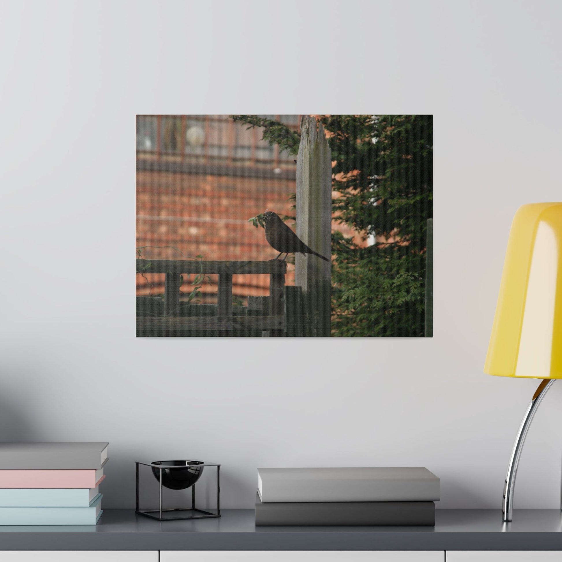 Female Blackbird Gathering Sticks For Nest, Matte Canvas, Stretched, 0.75" - The Trio Synergize Group