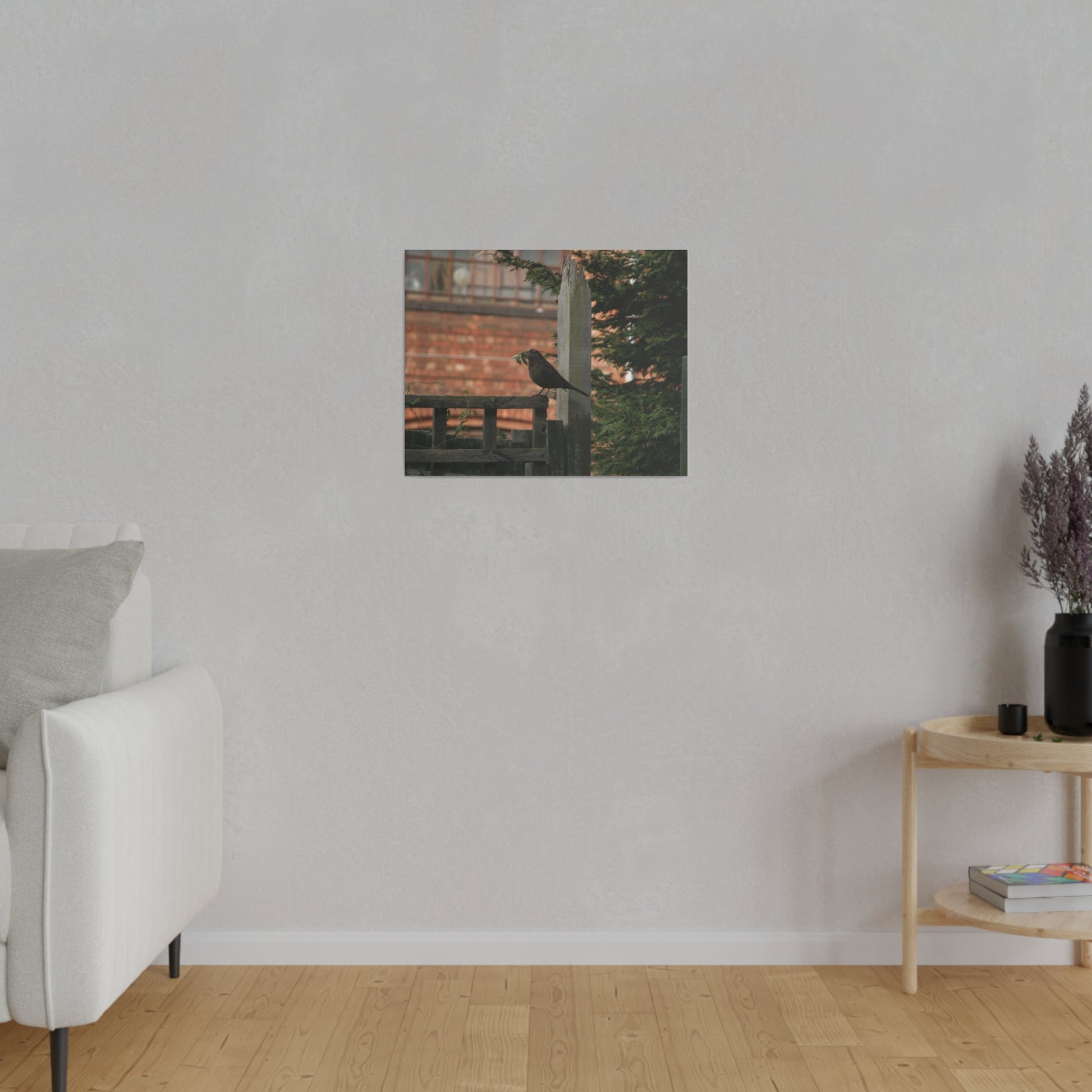 Female Blackbird Gathering Sticks For Nest, Matte Canvas, Stretched, 0.75" - The Trio Synergize Group