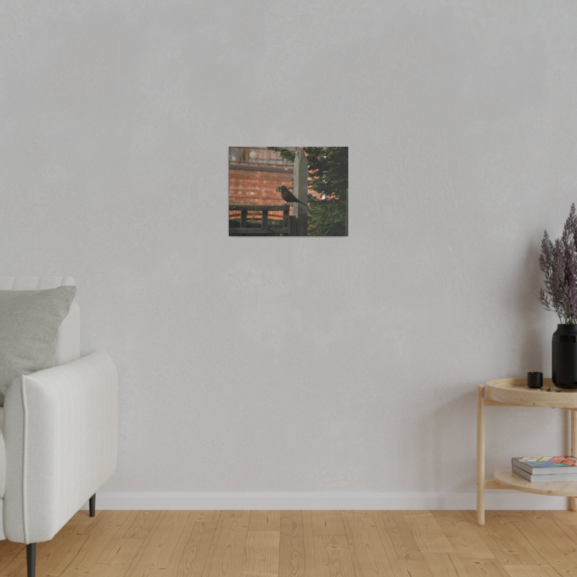 Female Blackbird Gathering Sticks For Nest, Matte Canvas, Stretched, 0.75" - The Trio Synergize Group