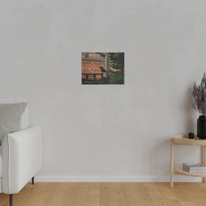 Female Blackbird Gathering Sticks For Nest, Matte Canvas, Stretched, 0.75" - The Trio Synergize Group