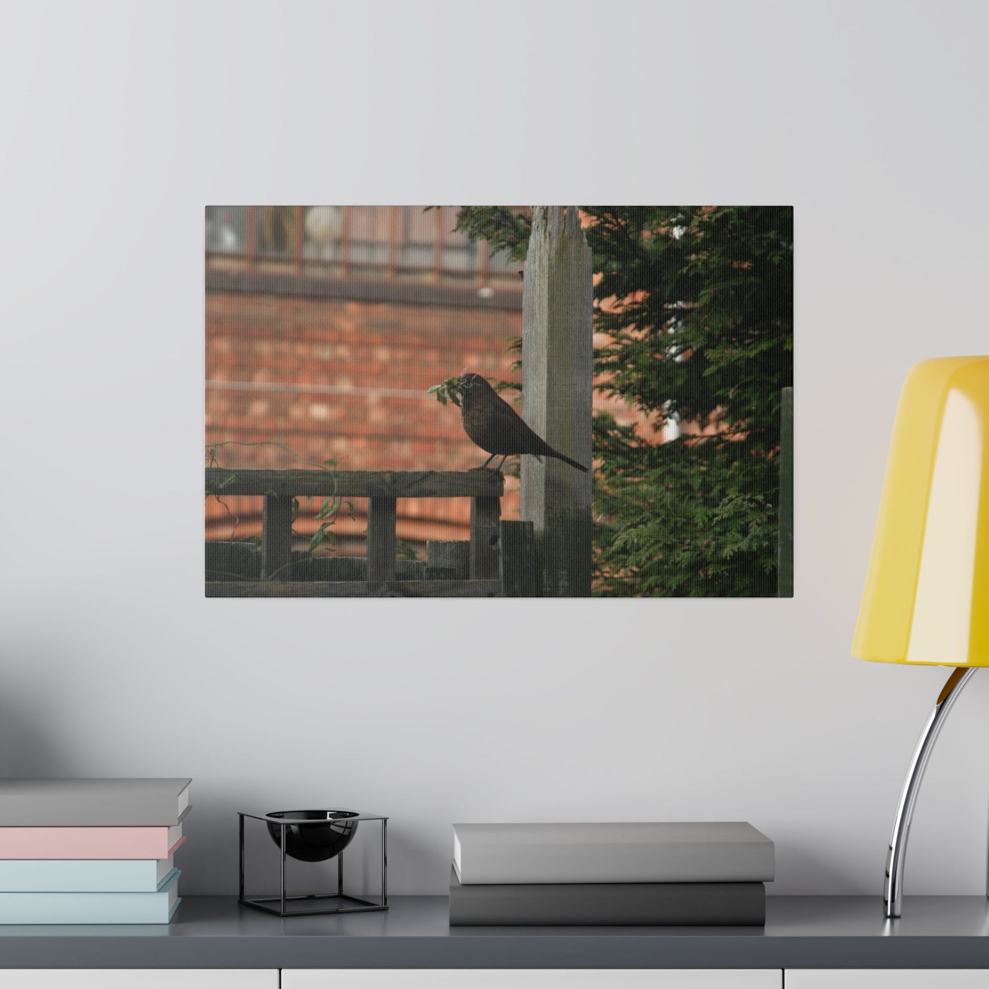 Female Blackbird Gathering Sticks For Nest, Matte Canvas, Stretched, 0.75" - The Trio Synergize Group
