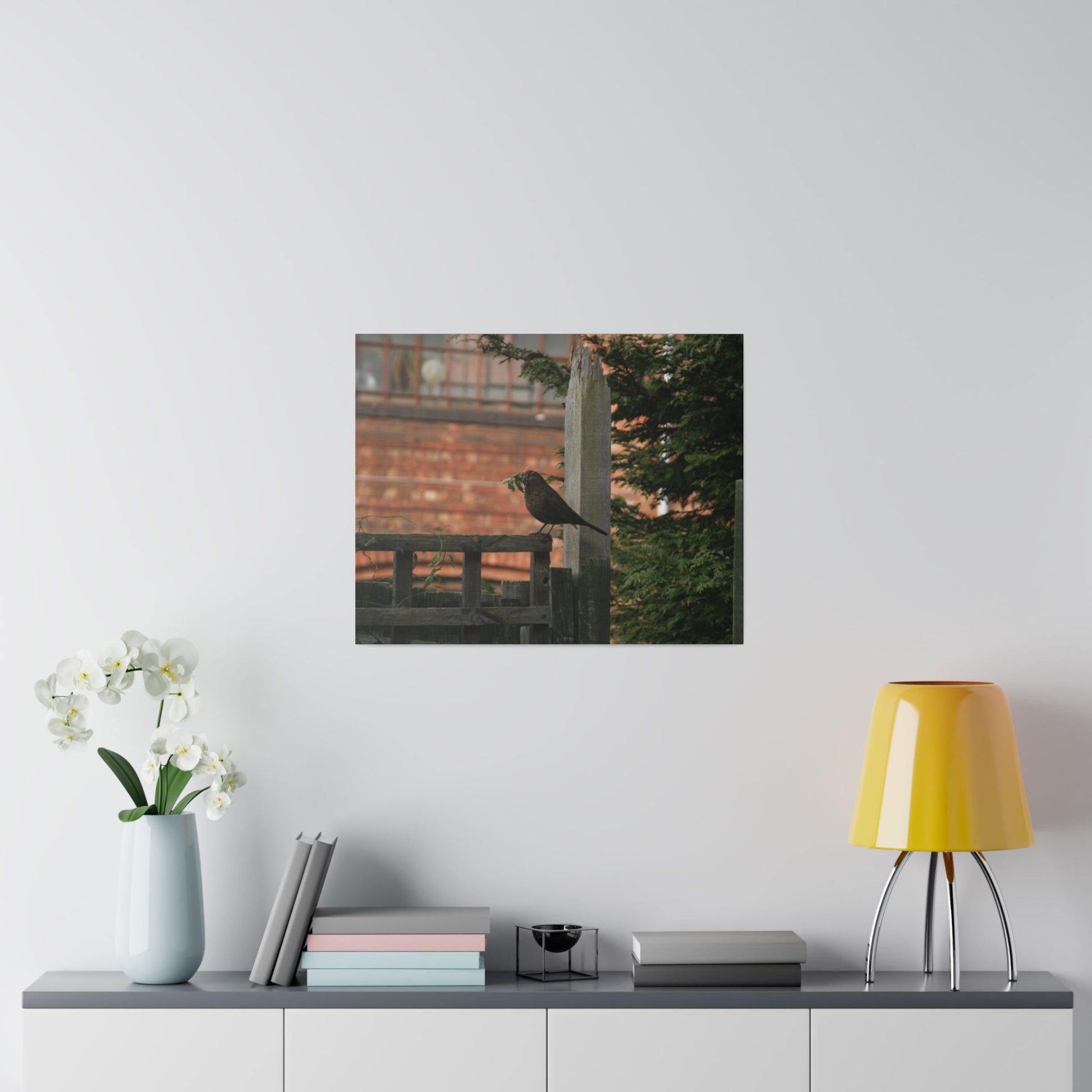 Female Blackbird Gathering Sticks For Nest, Matte Canvas, Stretched, 0.75" - The Trio Synergize Group