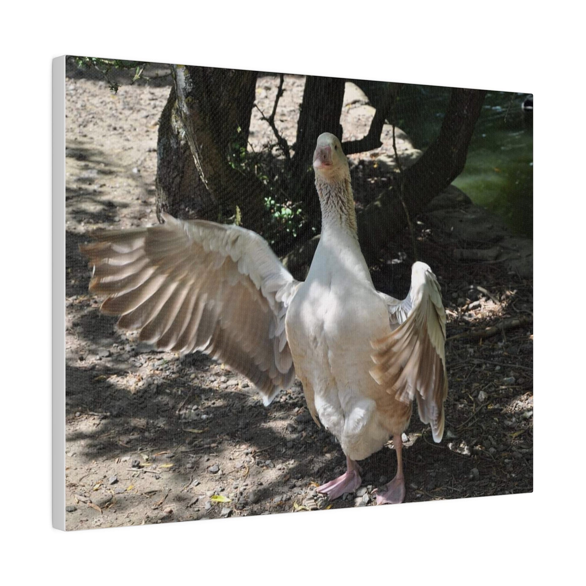 Goose With Wings Wide Open, Matte Canvas, Stretched, 0.75" - The Trio Synergize Group