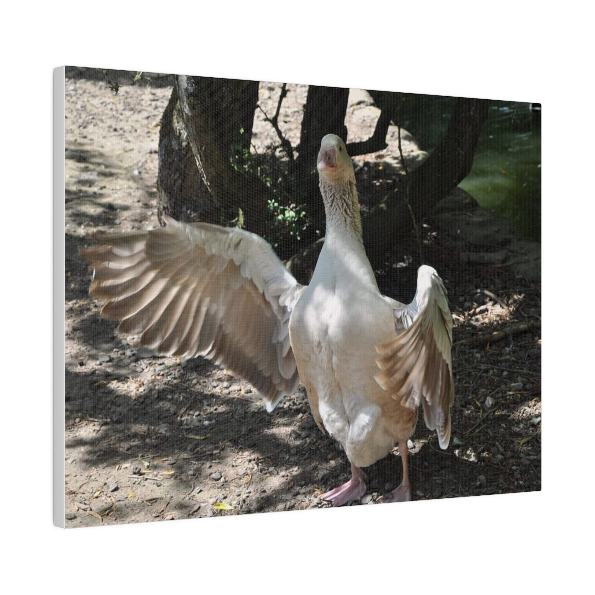 Goose With Wings Wide Open, Matte Canvas, Stretched, 0.75" - The Trio Synergize Group