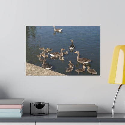 Goslings And Their Mothers, Matte Canvas, Stretched, 0.75" - The Trio Synergize Group