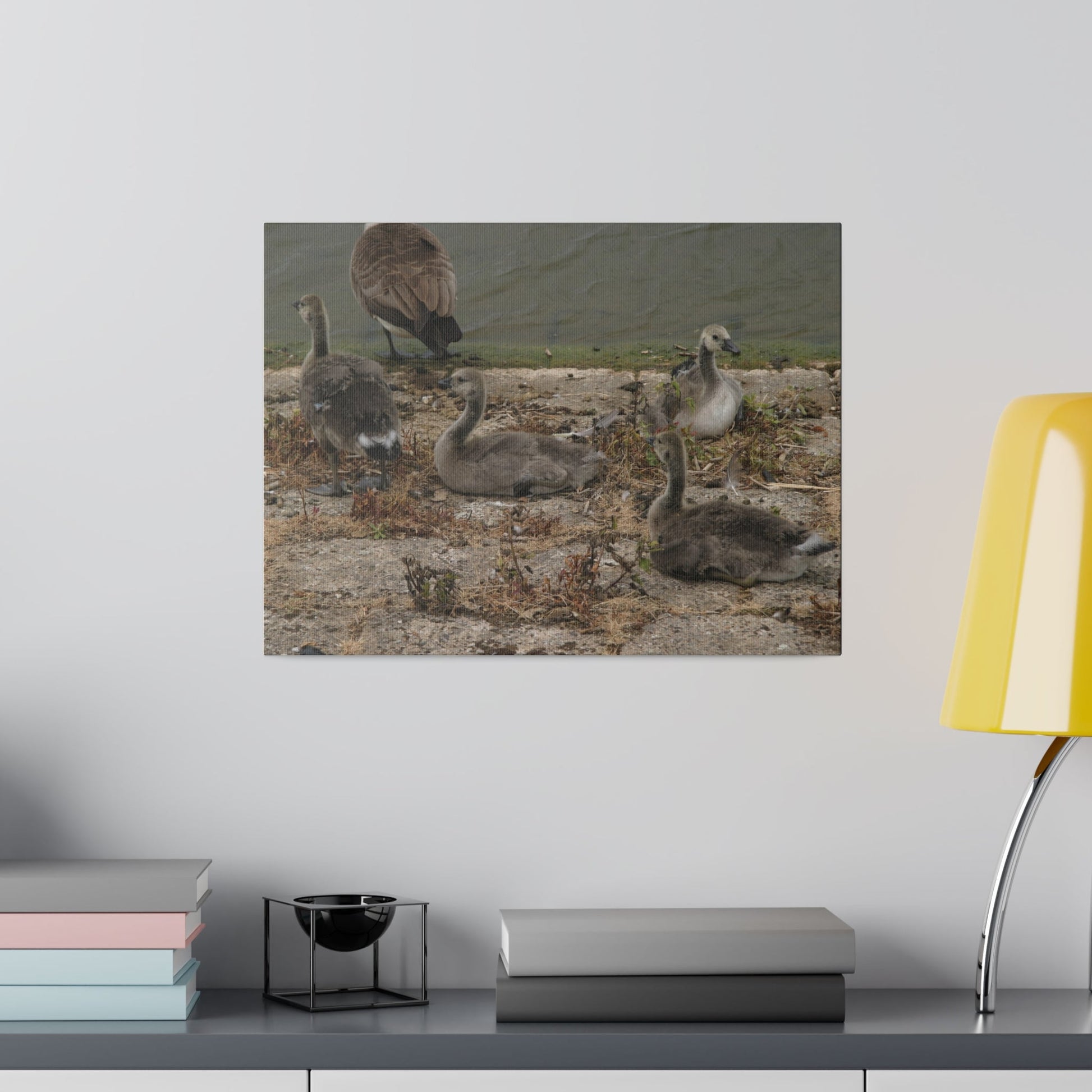 Goslings, Matte Canvas, Stretched, 0.75" - The Trio Synergize Group