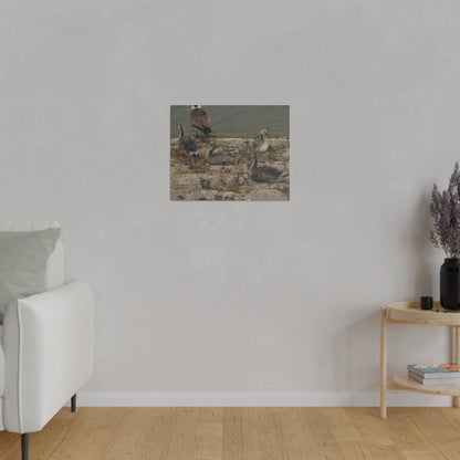 Goslings, Matte Canvas, Stretched, 0.75" - The Trio Synergize Group