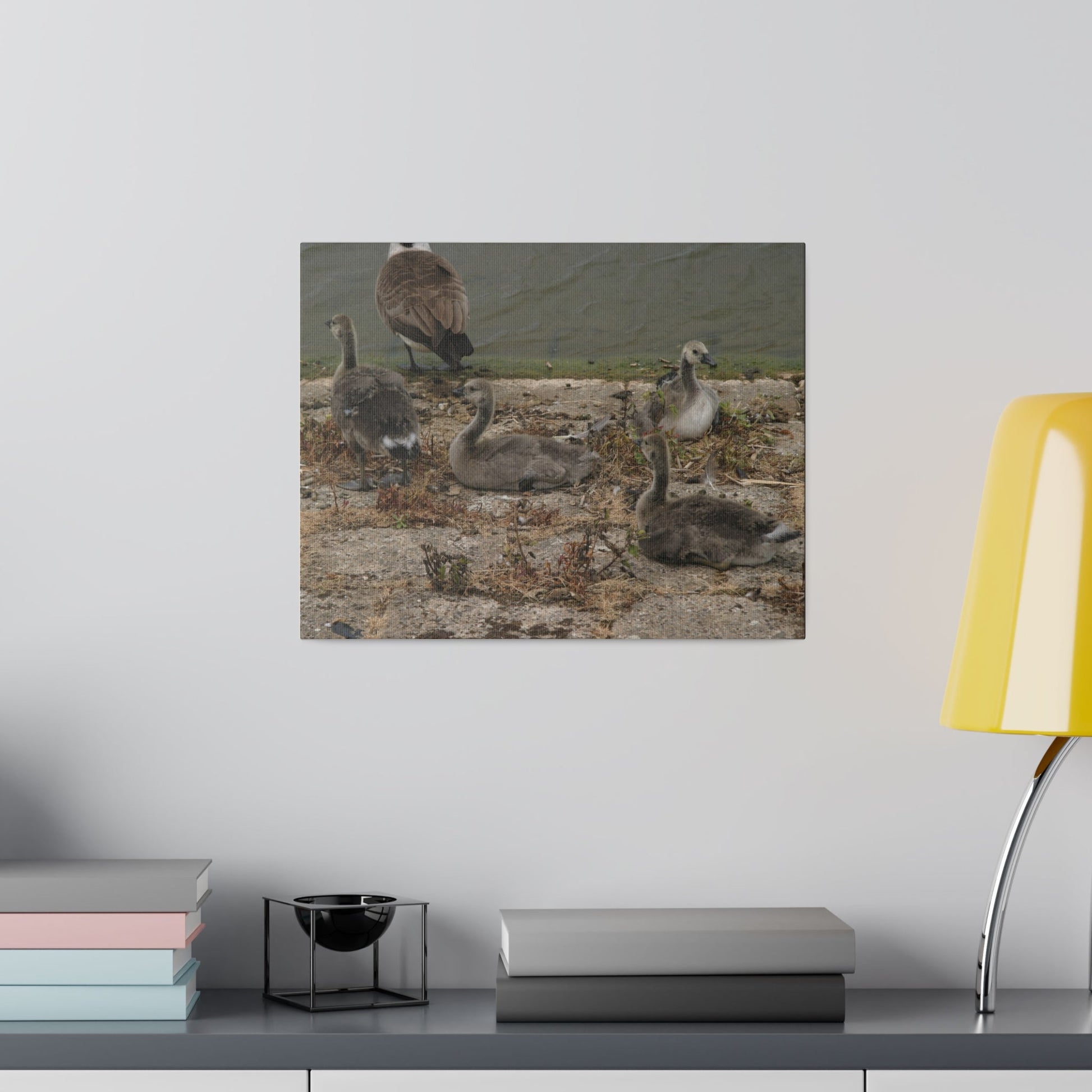 Goslings, Matte Canvas, Stretched, 0.75" - The Trio Synergize Group
