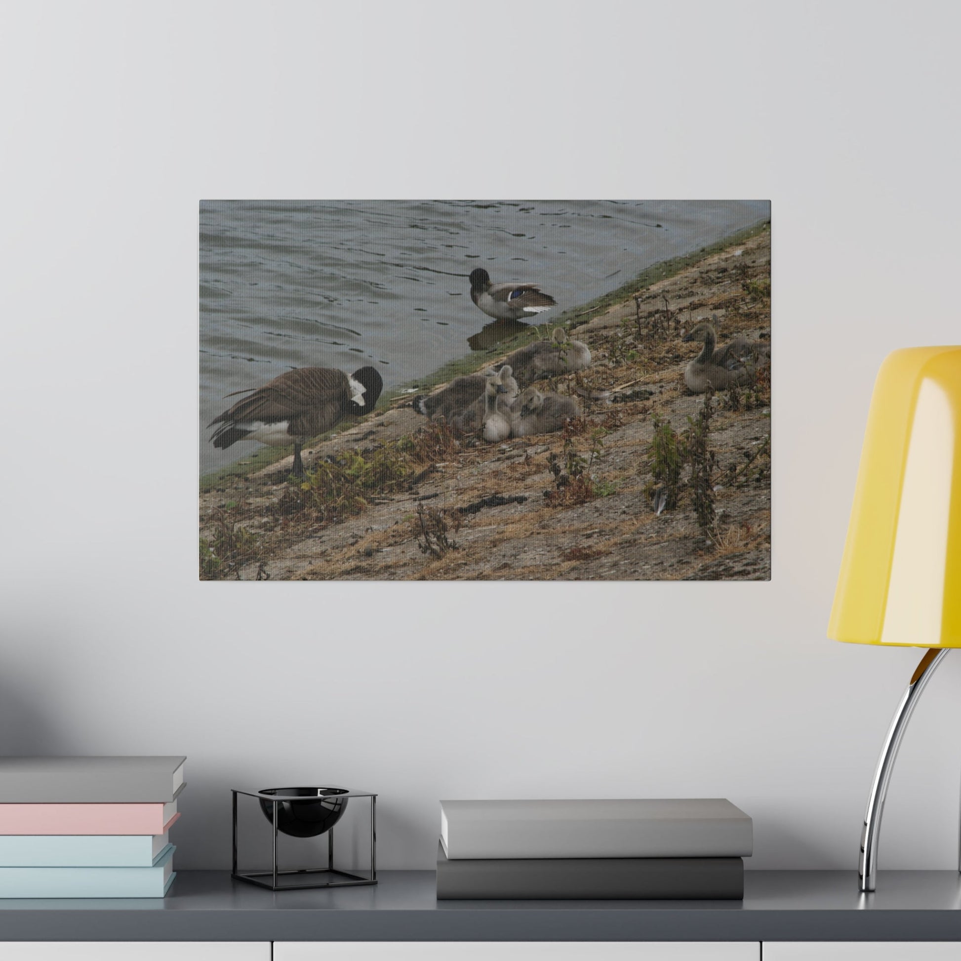 Goslings With Their Mum, Canvas Print - The Trio Synergize Group
