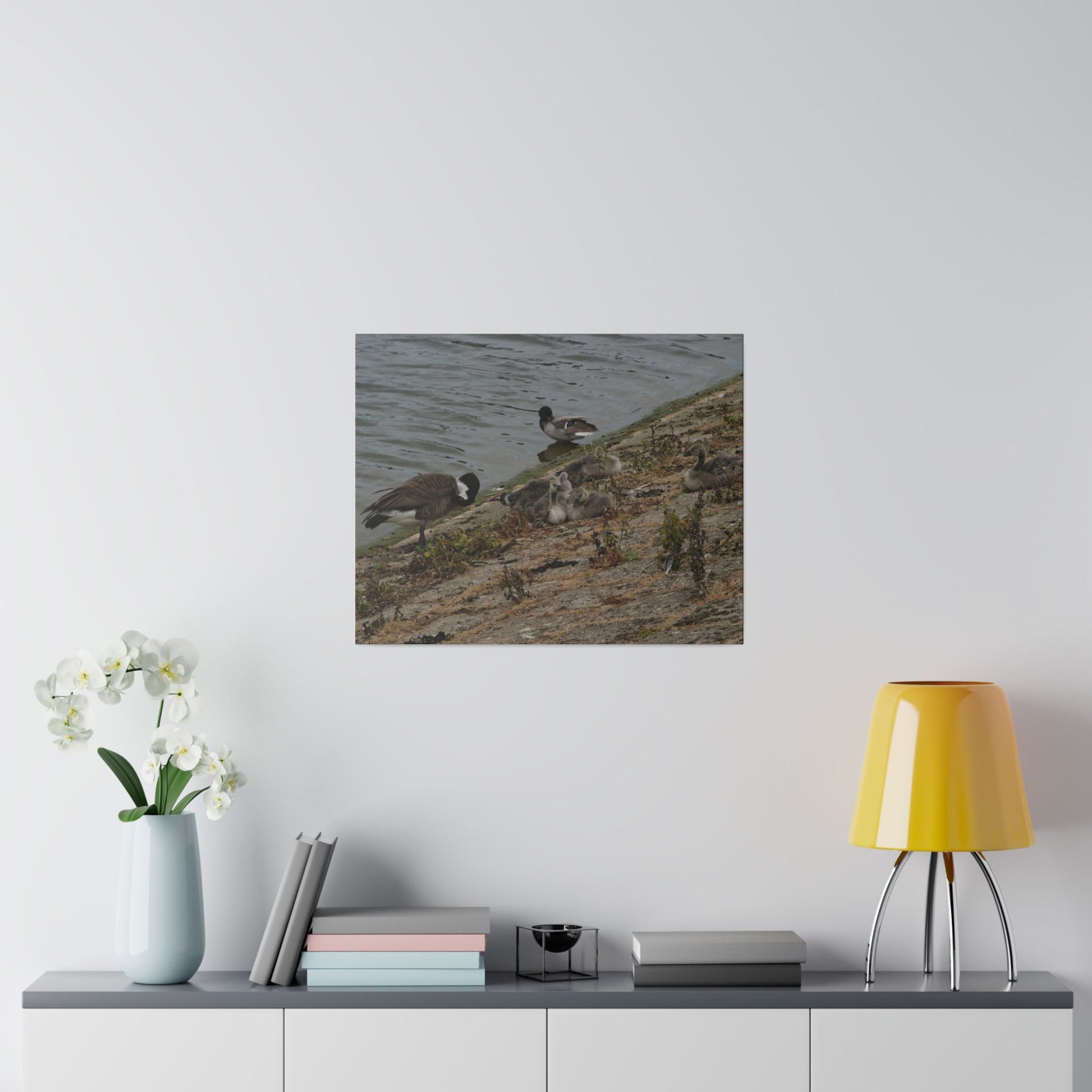Goslings With Their Mum, Canvas Print - The Trio Synergize Group