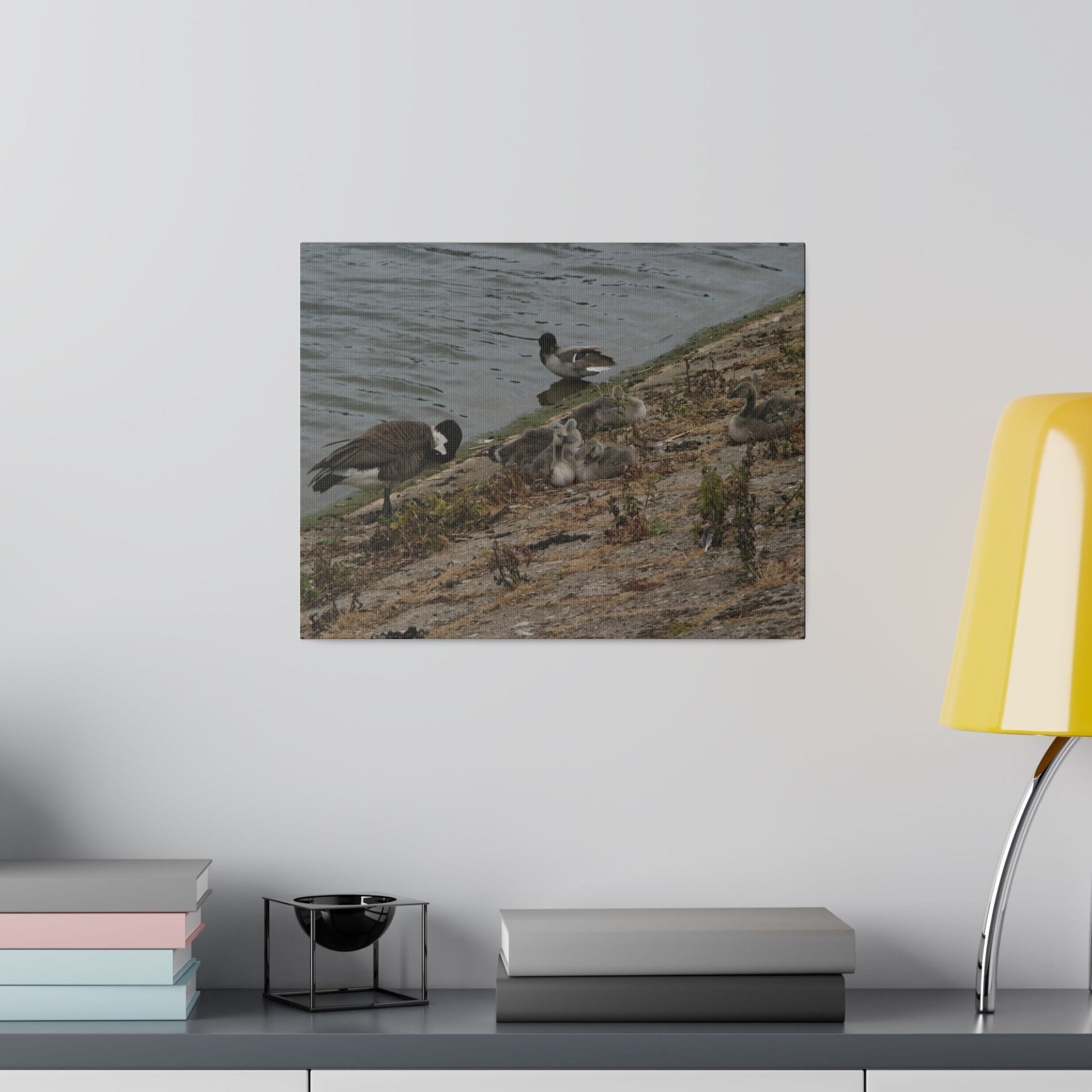 Goslings With Their Mum, Canvas Print - The Trio Synergize Group