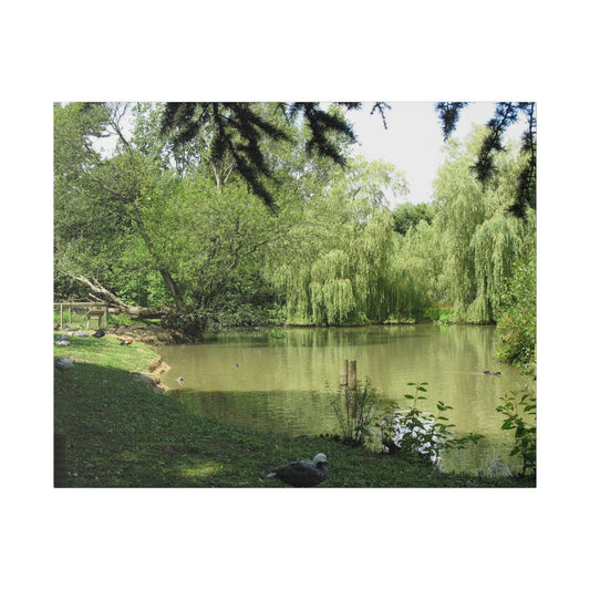 Lush Green Countryside With A Pond Canvas Print - The Trio Synergize Group
