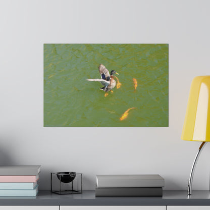 Male Duck Flapping It's Wings And Fish Canvas - The Trio Synergize Group